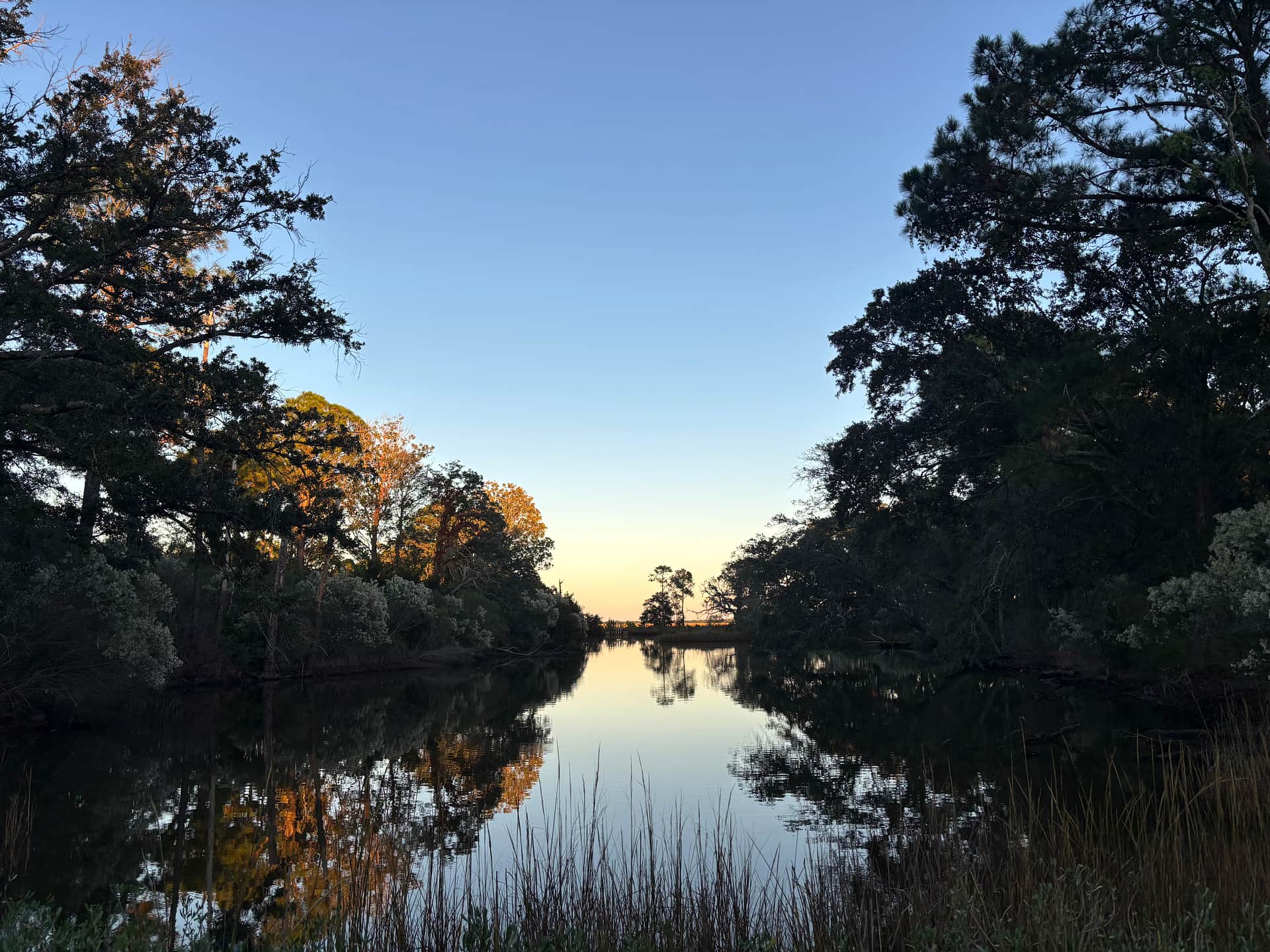 This is the salt water pond where catch and release fishing is allowed for campers.