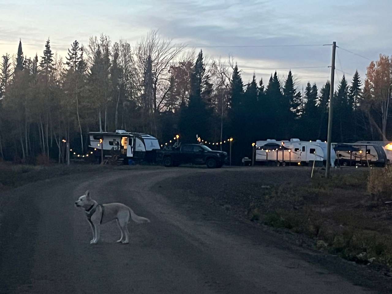 Cardinal Campground- Kouchibouguac