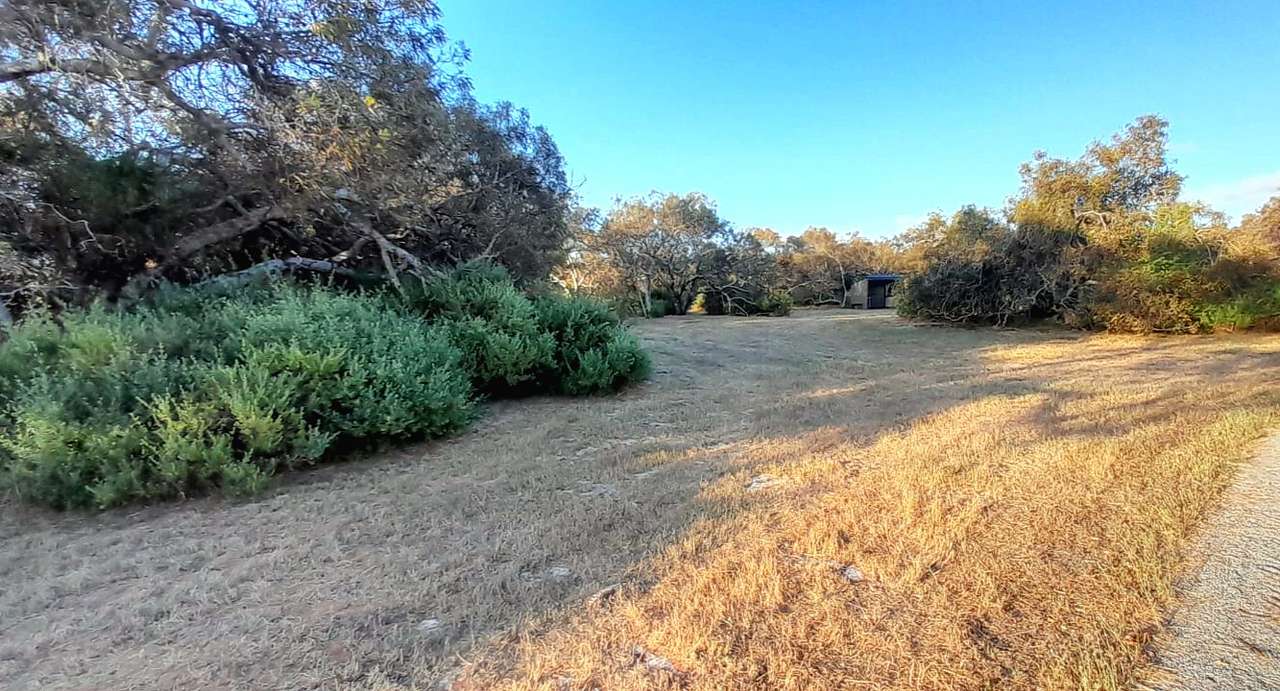 Melaleuca Grove (10 mins North of Dongara)