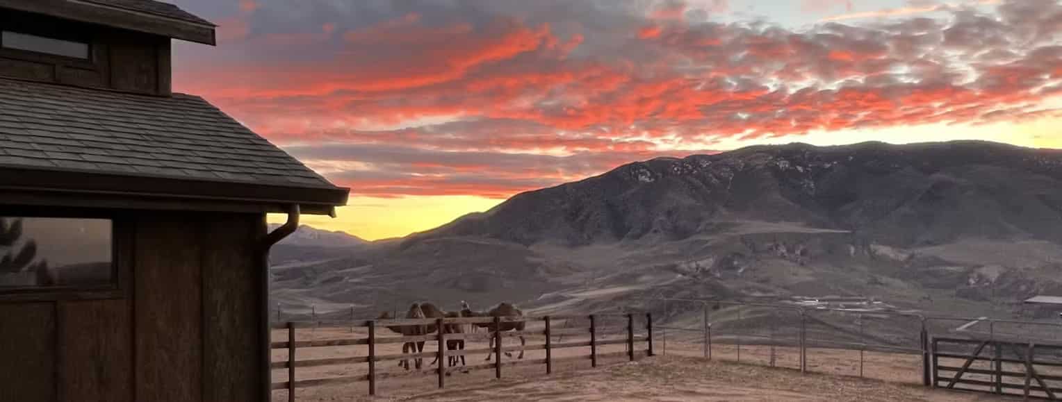Lone Juniper Ranch