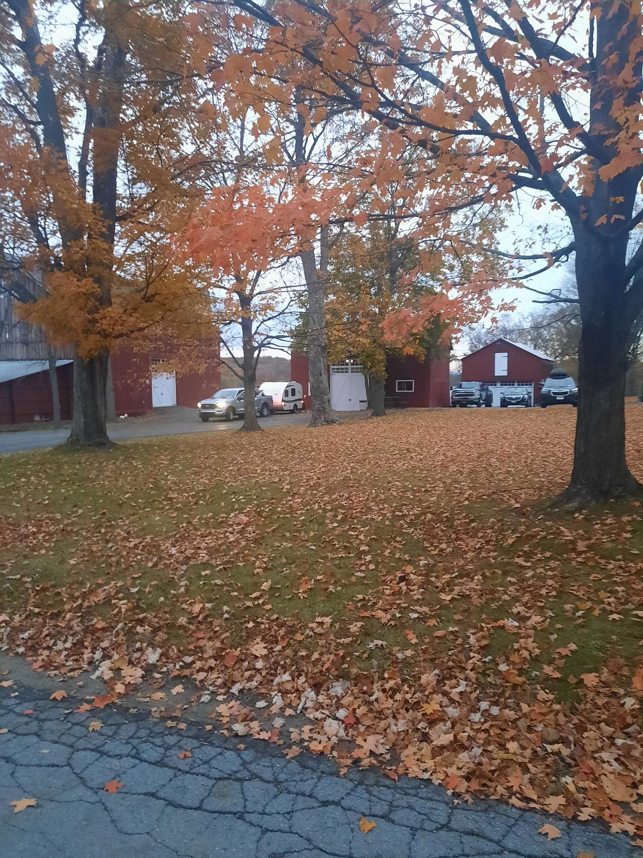Dominion House Farm and Trails