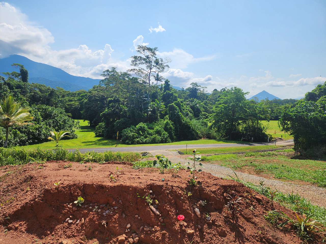 Picture of the site