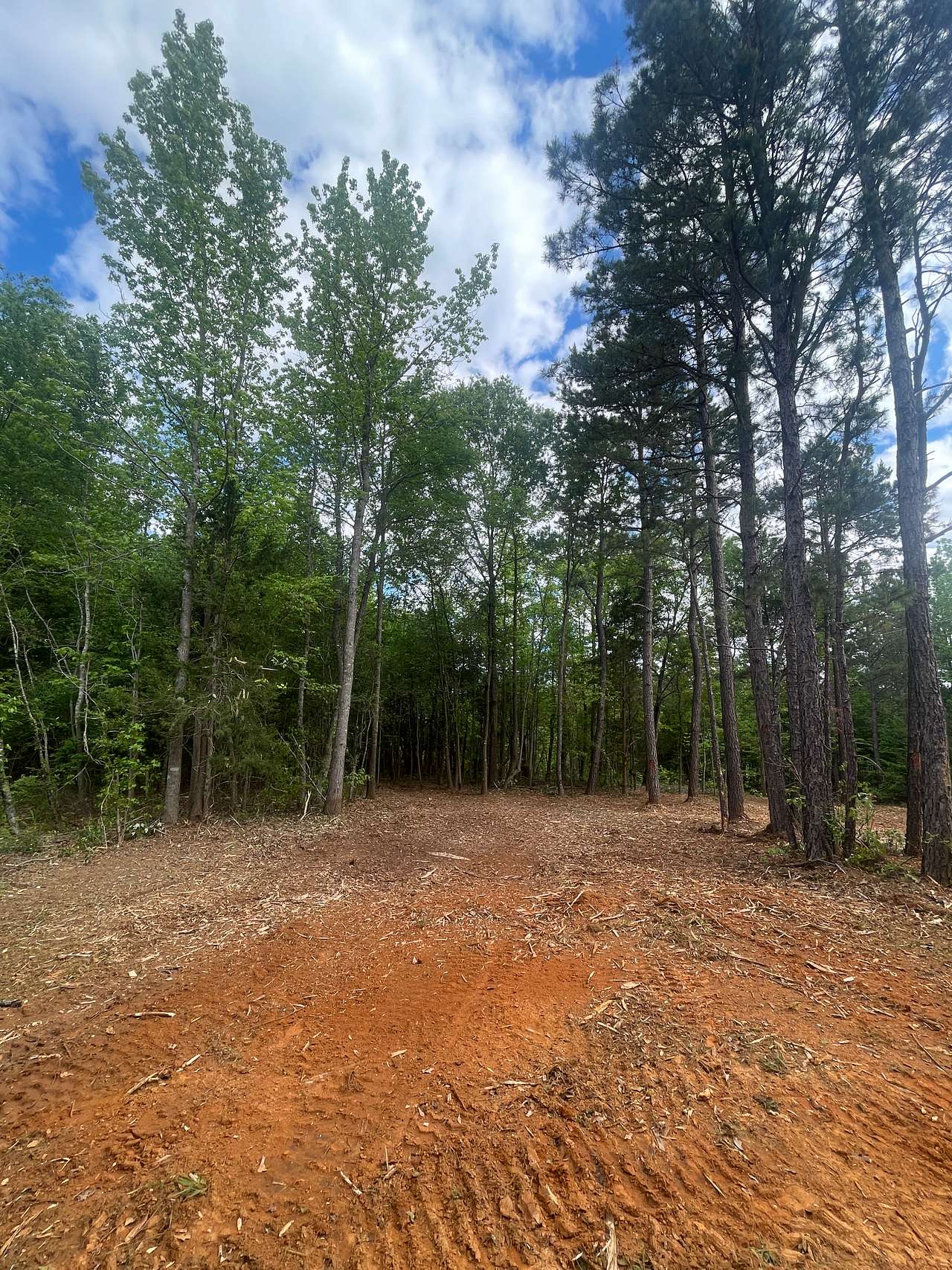 BlackBerryPines Disc & Camp