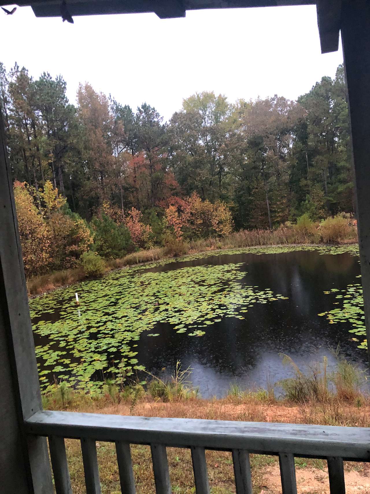 View from porch