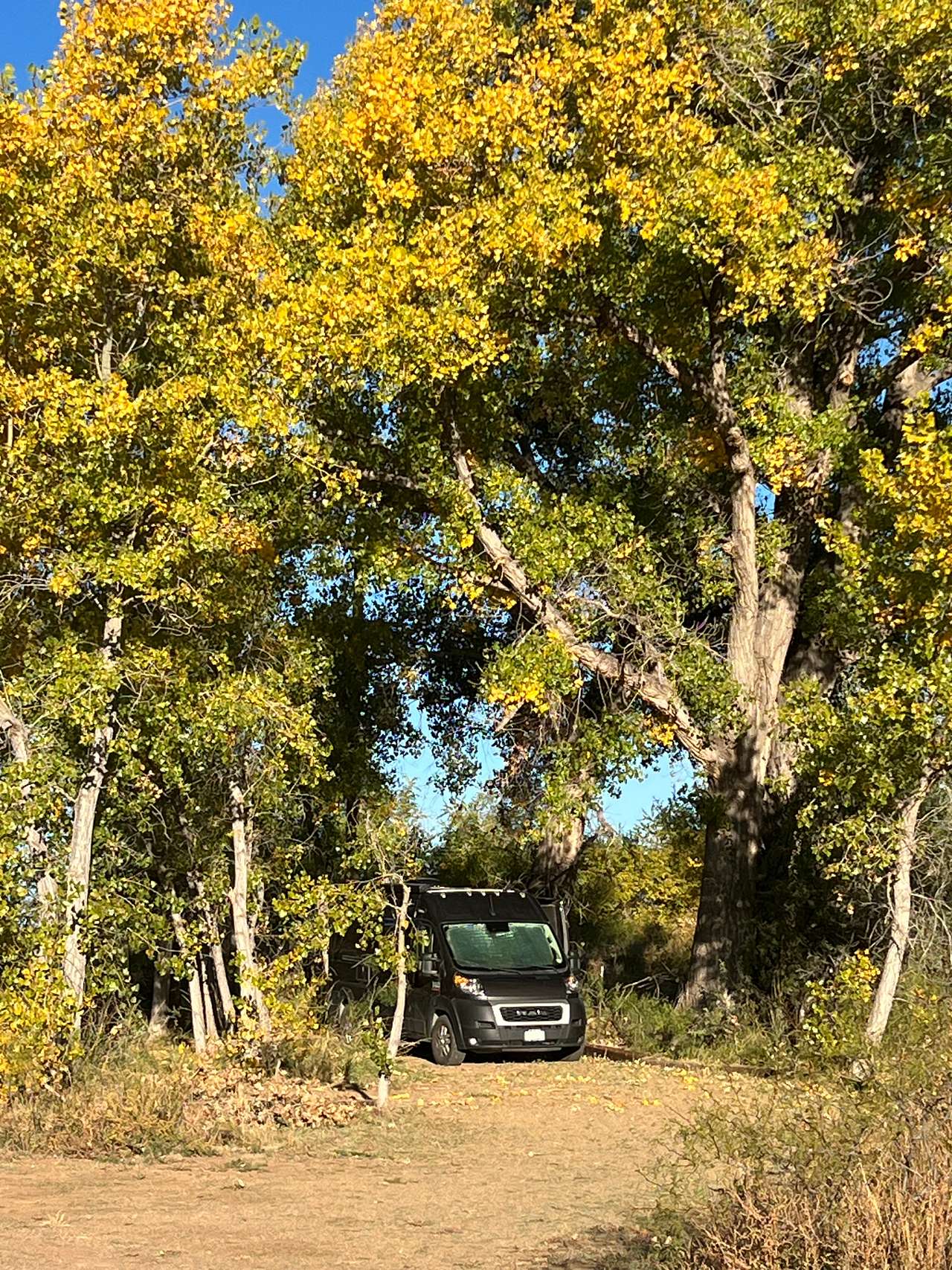 Camping Spot