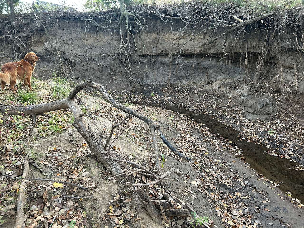 Hughes Holler