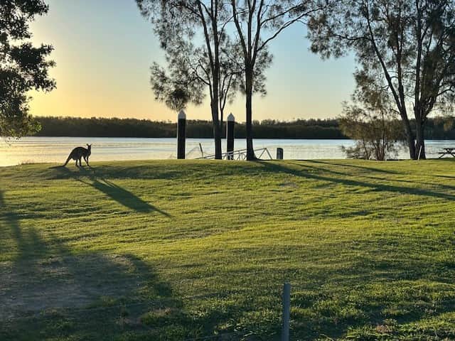 Hastings River Farm Camping