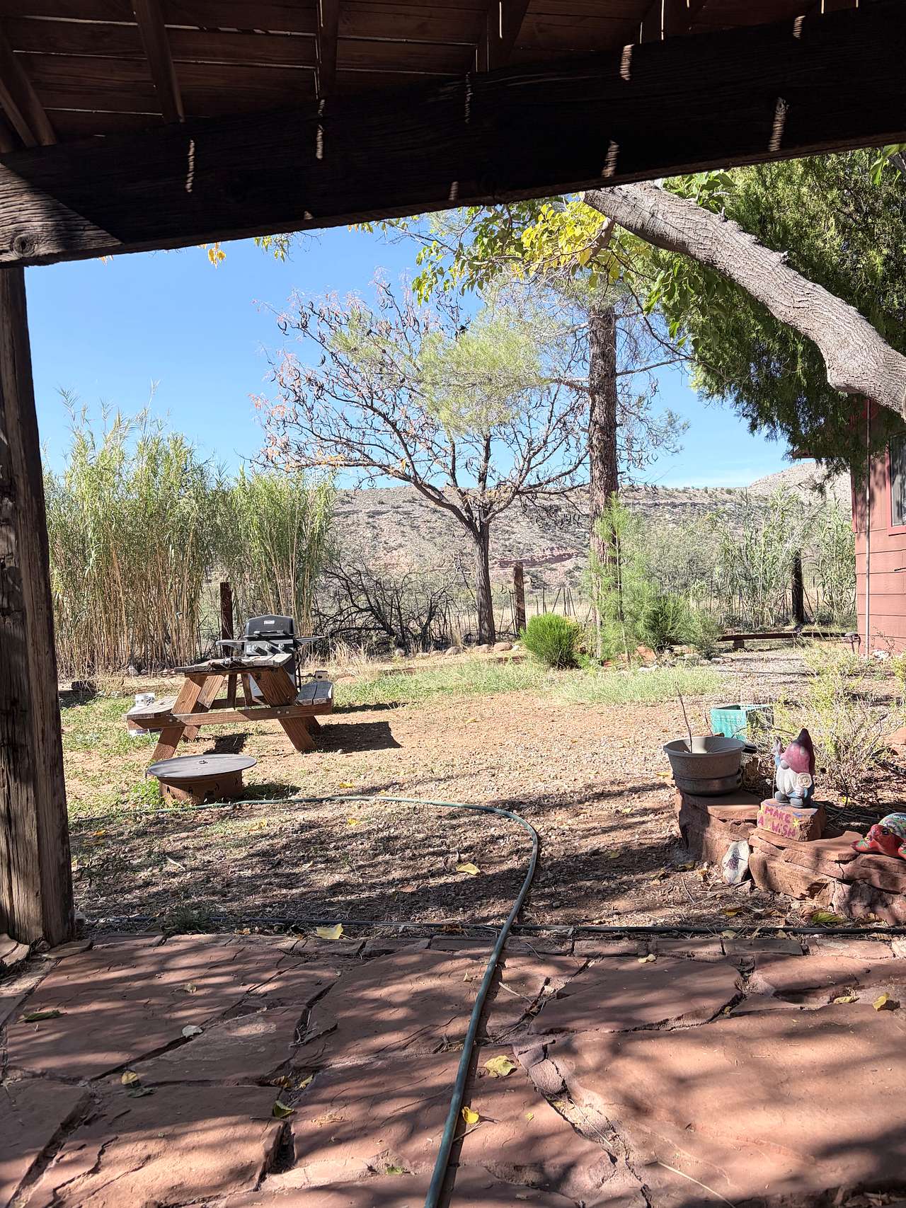 View from the front porch