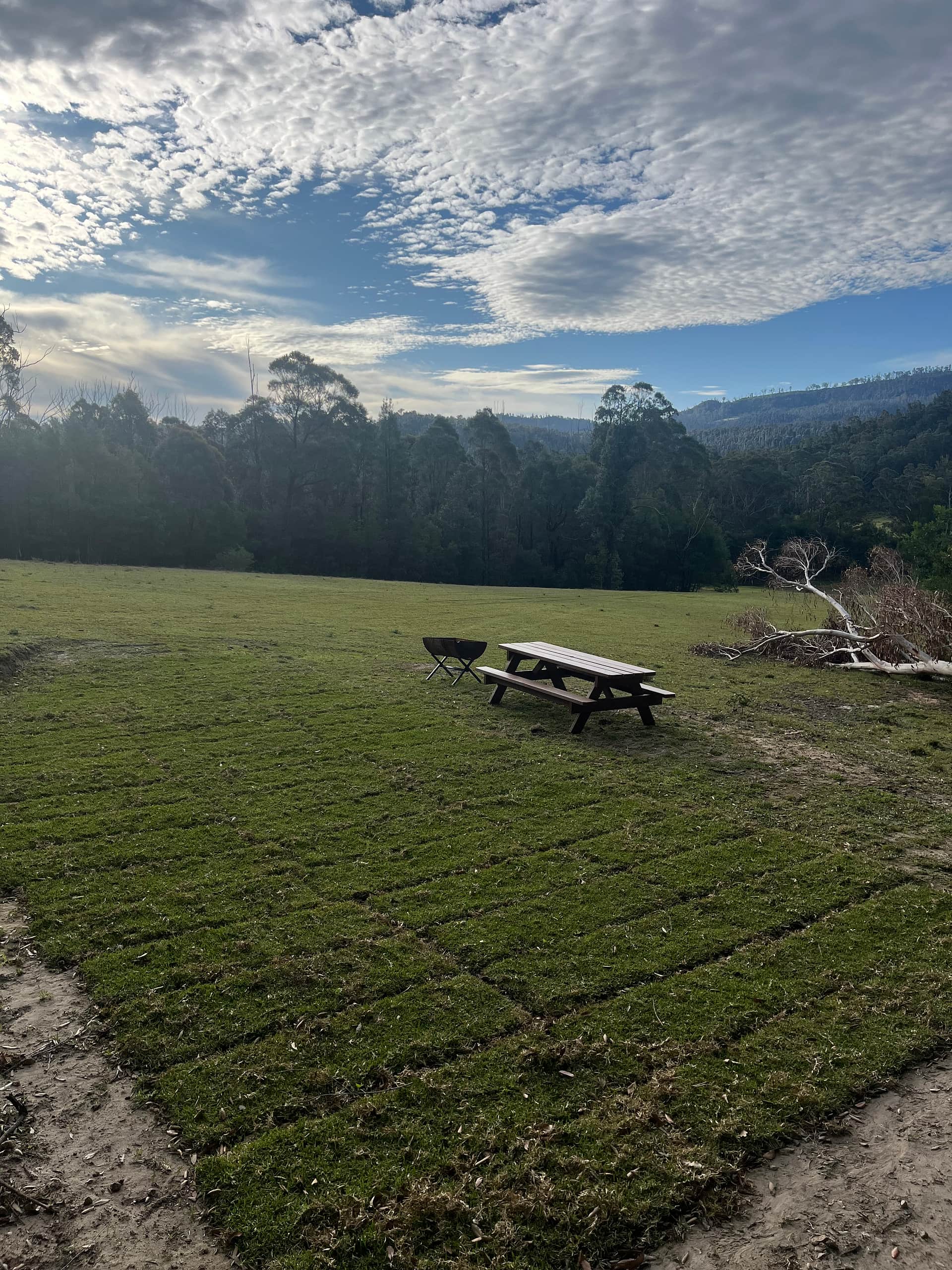 Wombat Hollow