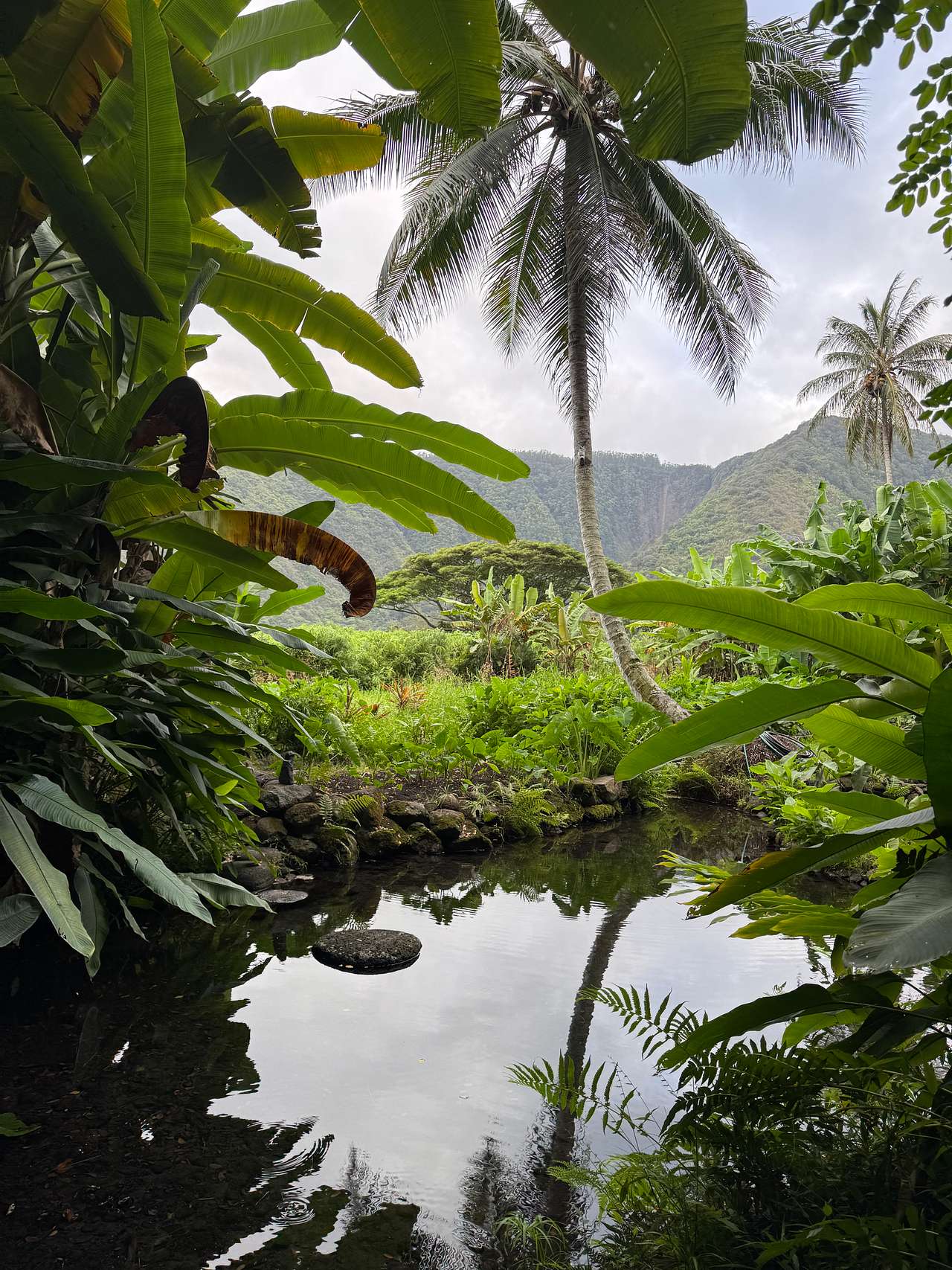 Waipio Farm To Table