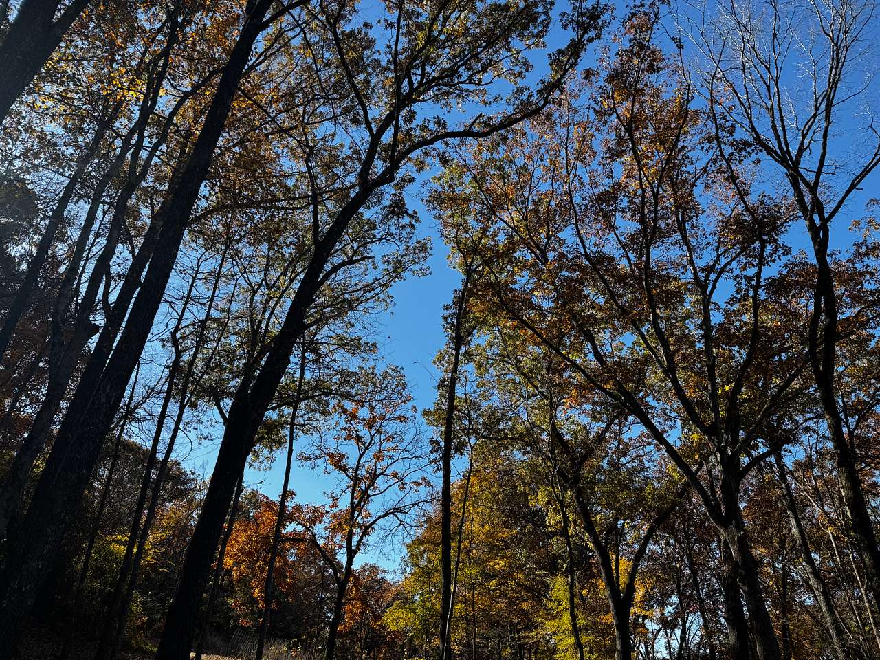 Barker Gap
