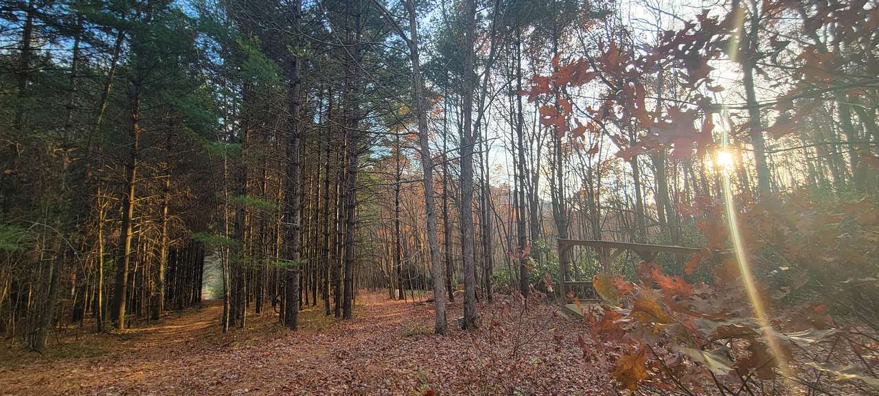 Loved walking the trials on Tracy's property 
