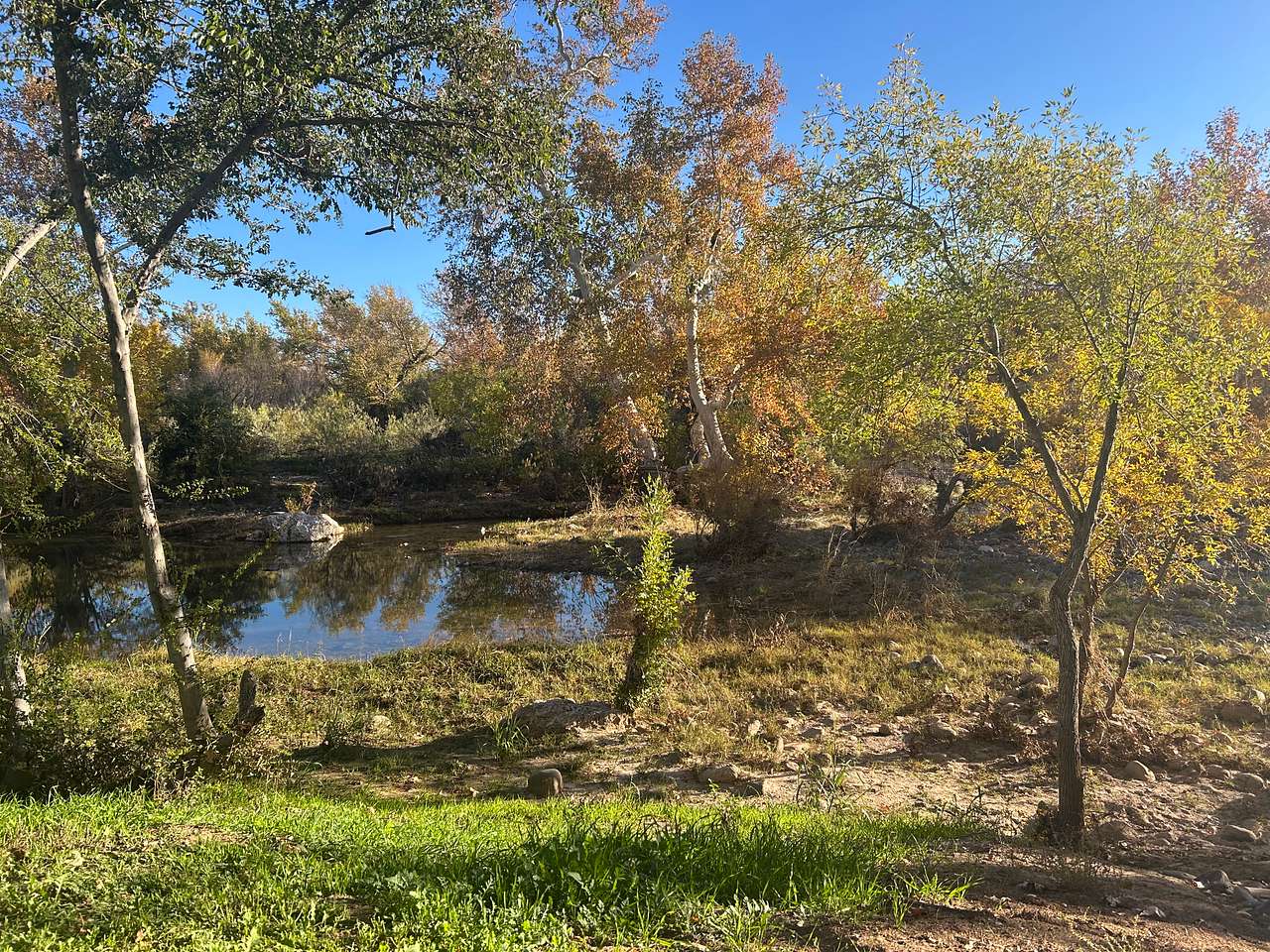Creekside Retreat on 3 Acres!