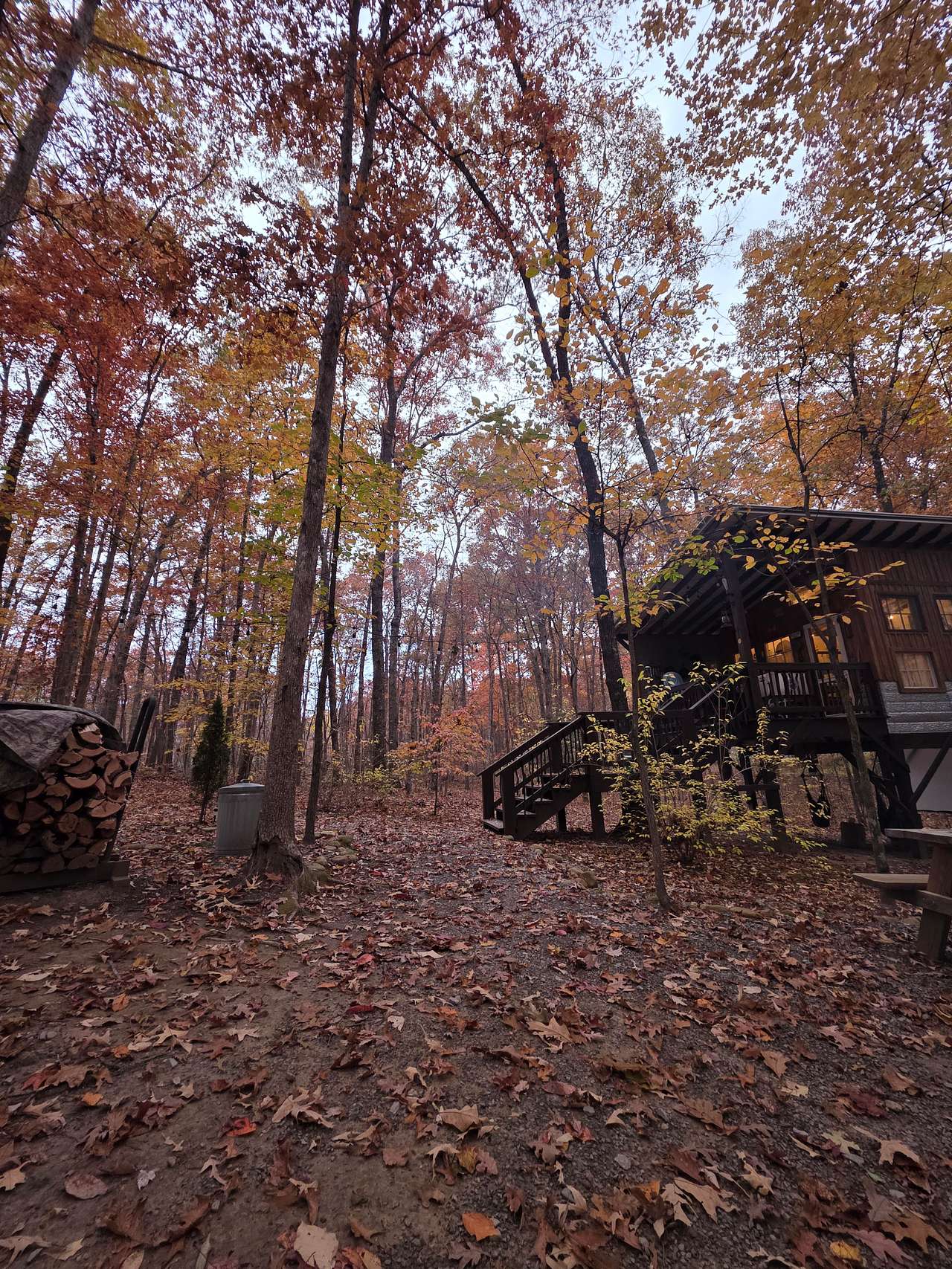 Glamping at Deer Camp Cabin