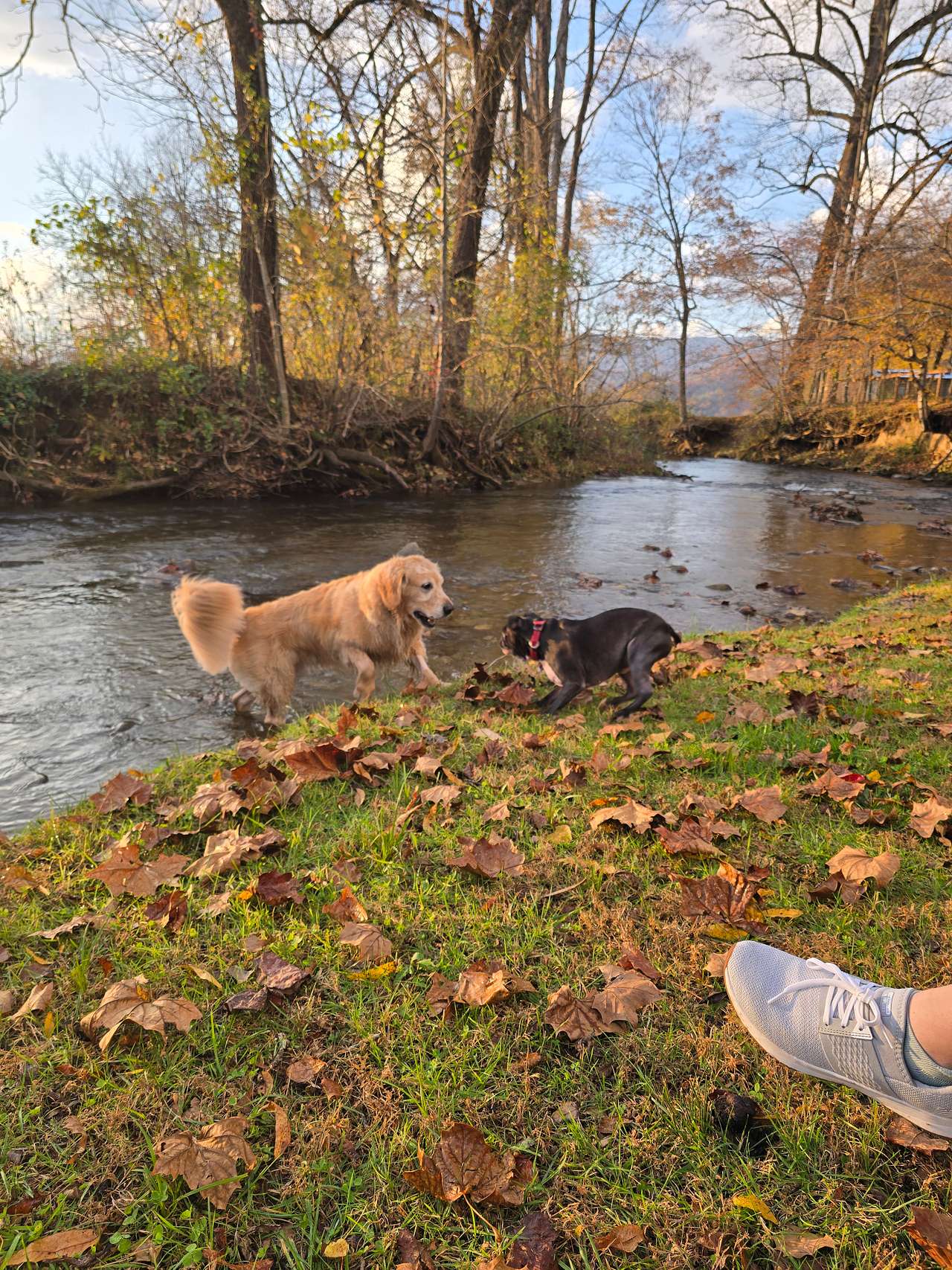 Mountain Riders Riverfront Camping