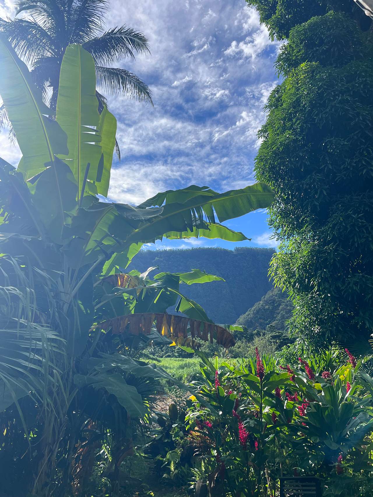 Waipio Farm To Table