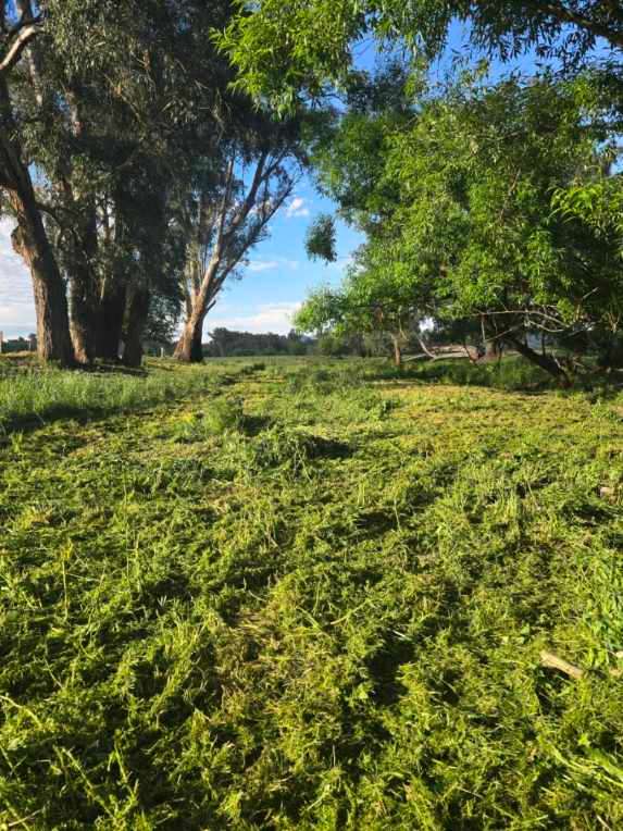 Picture of the site