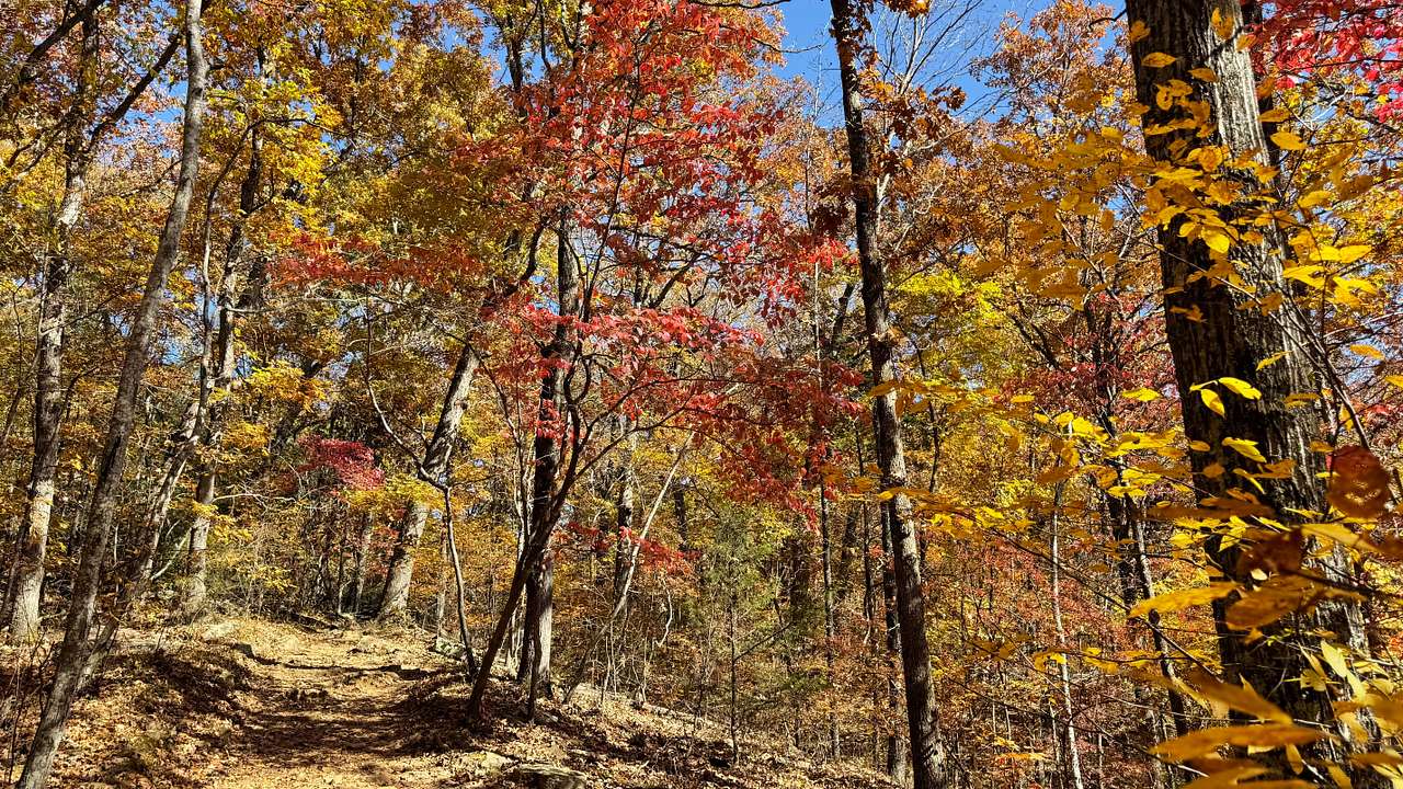 3 Corners Camp/RV near Devils Den