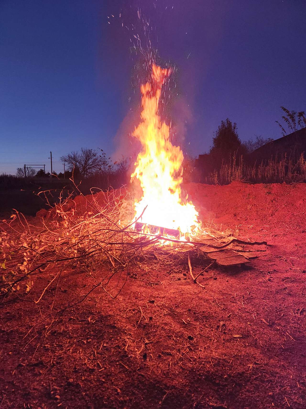 Blazing Star Farm