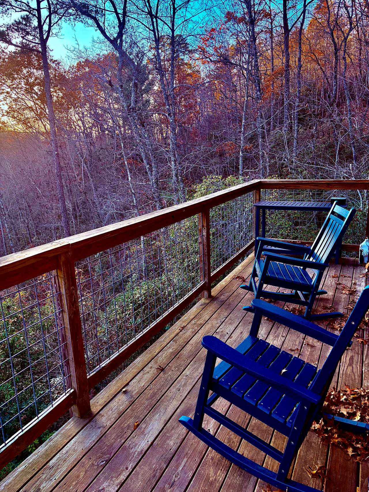 The Rowdy Bear Off-Grid Glamping