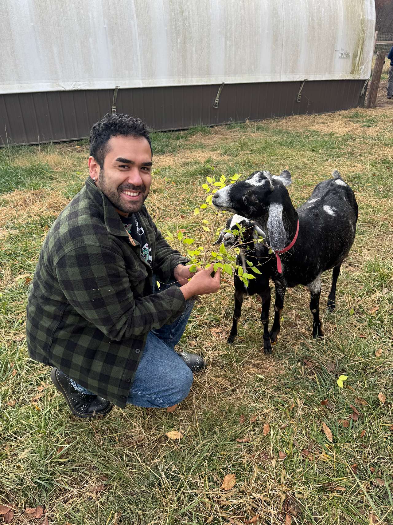 Yurt Glamping Tents + Farm Animals