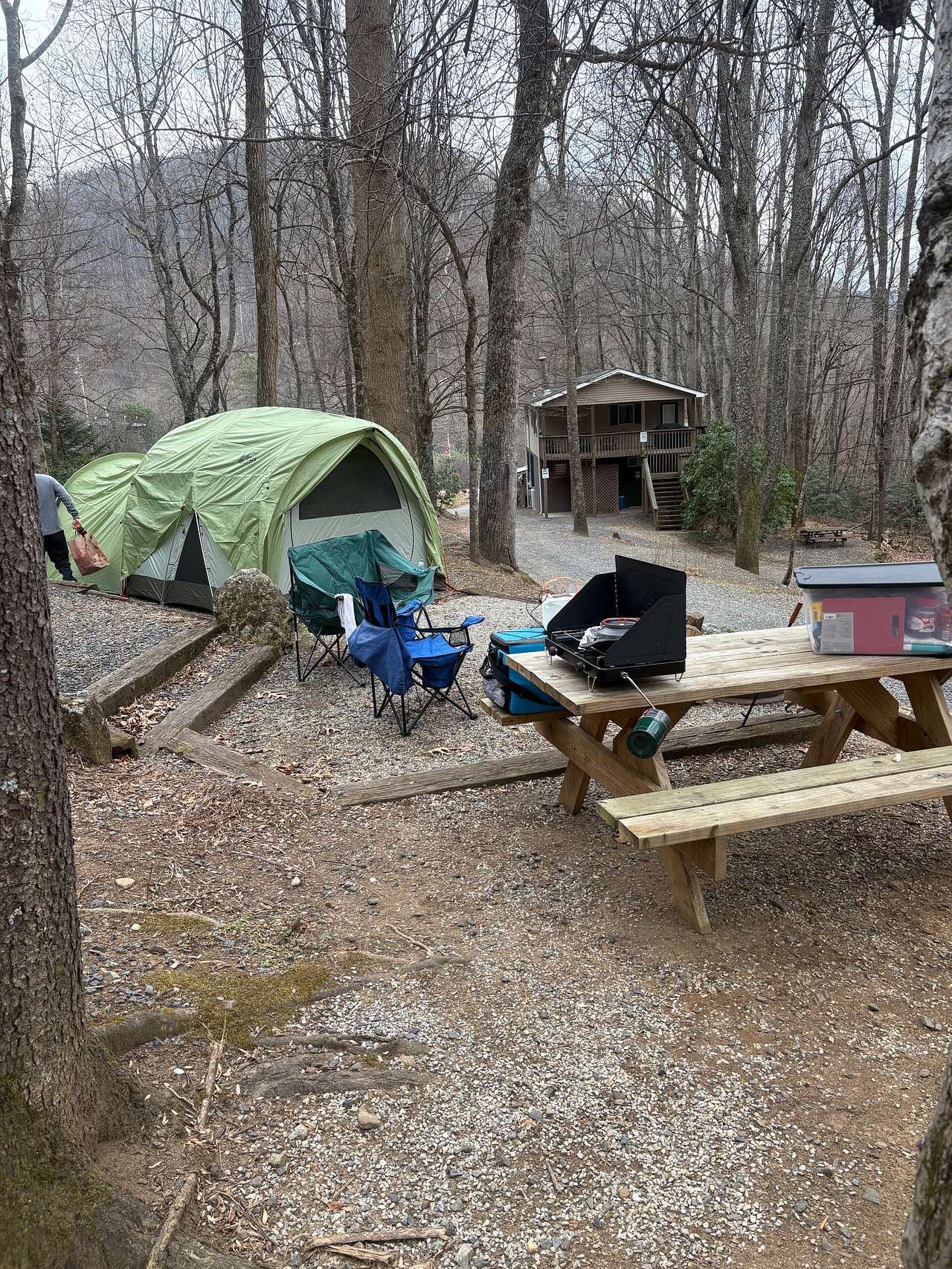 Picture of the site