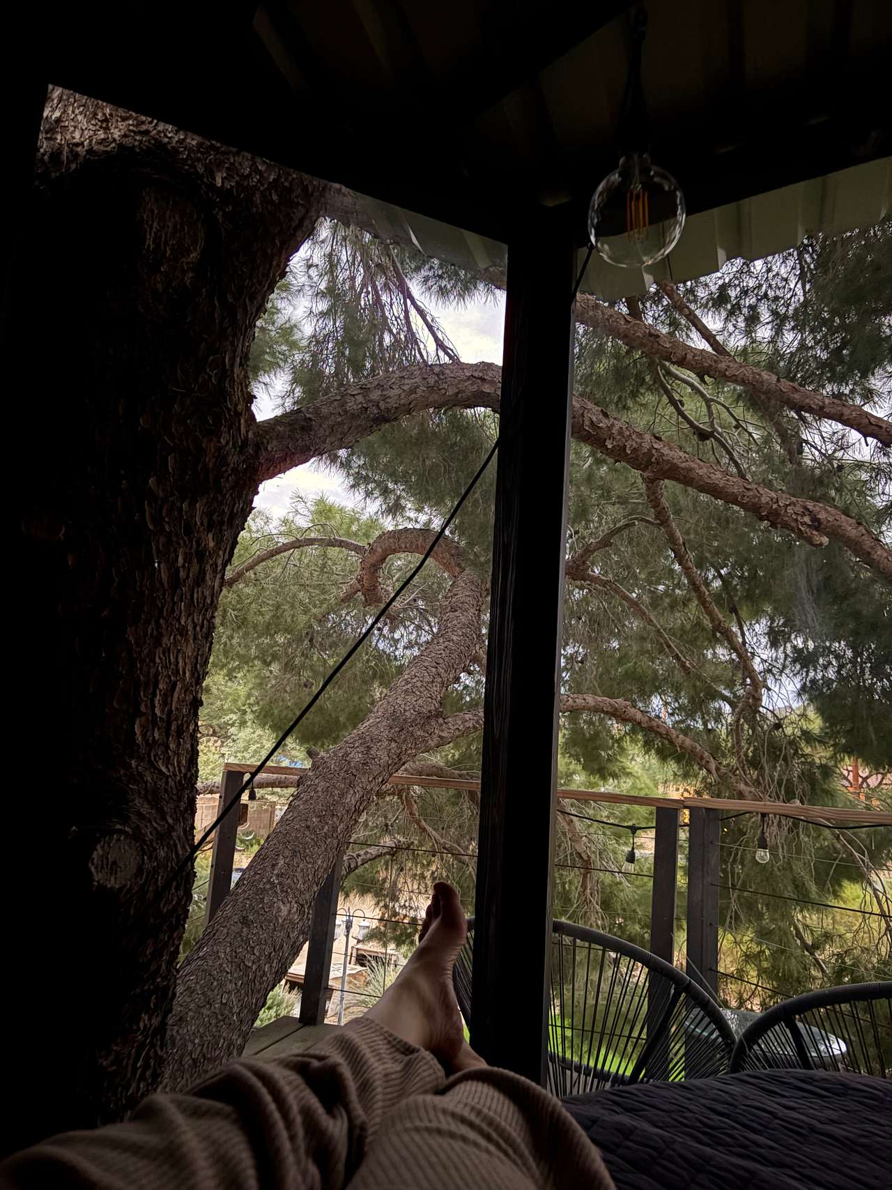 Phoenix Mountains Treehouse