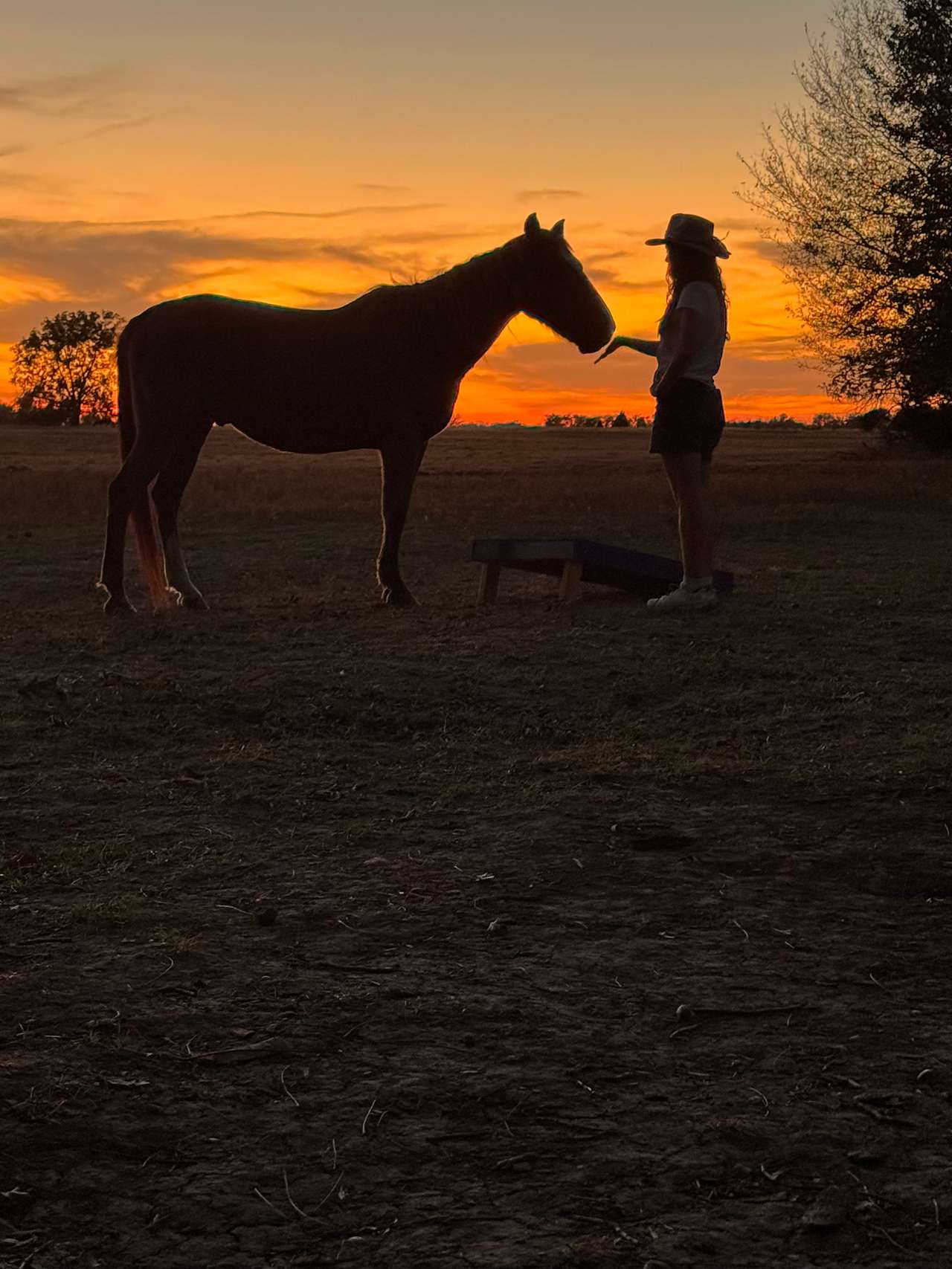 Sleep Under the Pecan Trees
