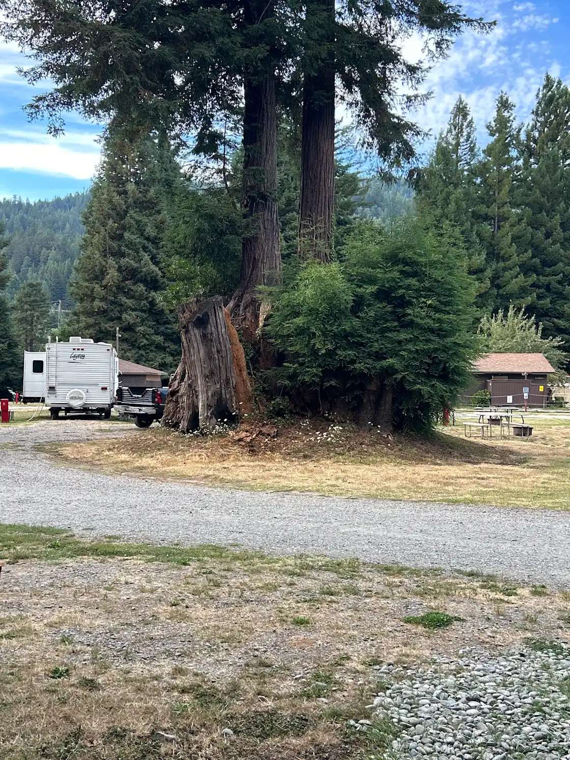 Redwood Family Camp