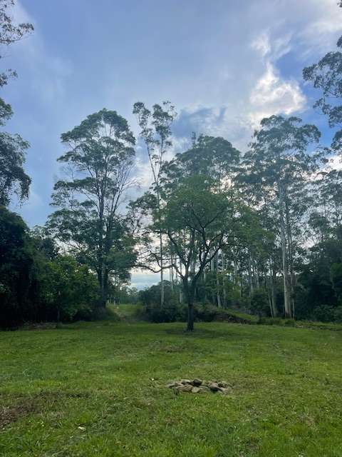 The Hills - Stony Creek Camp