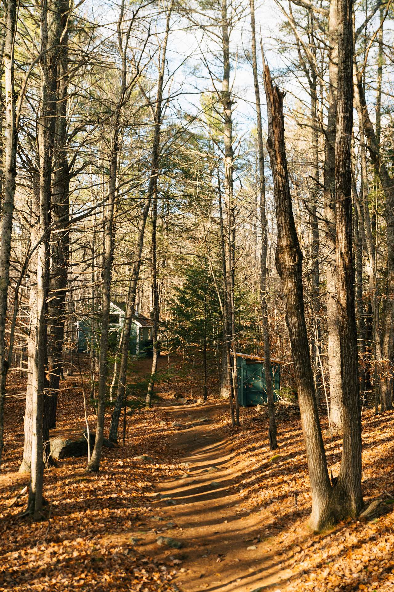 Emerald Green Cabin