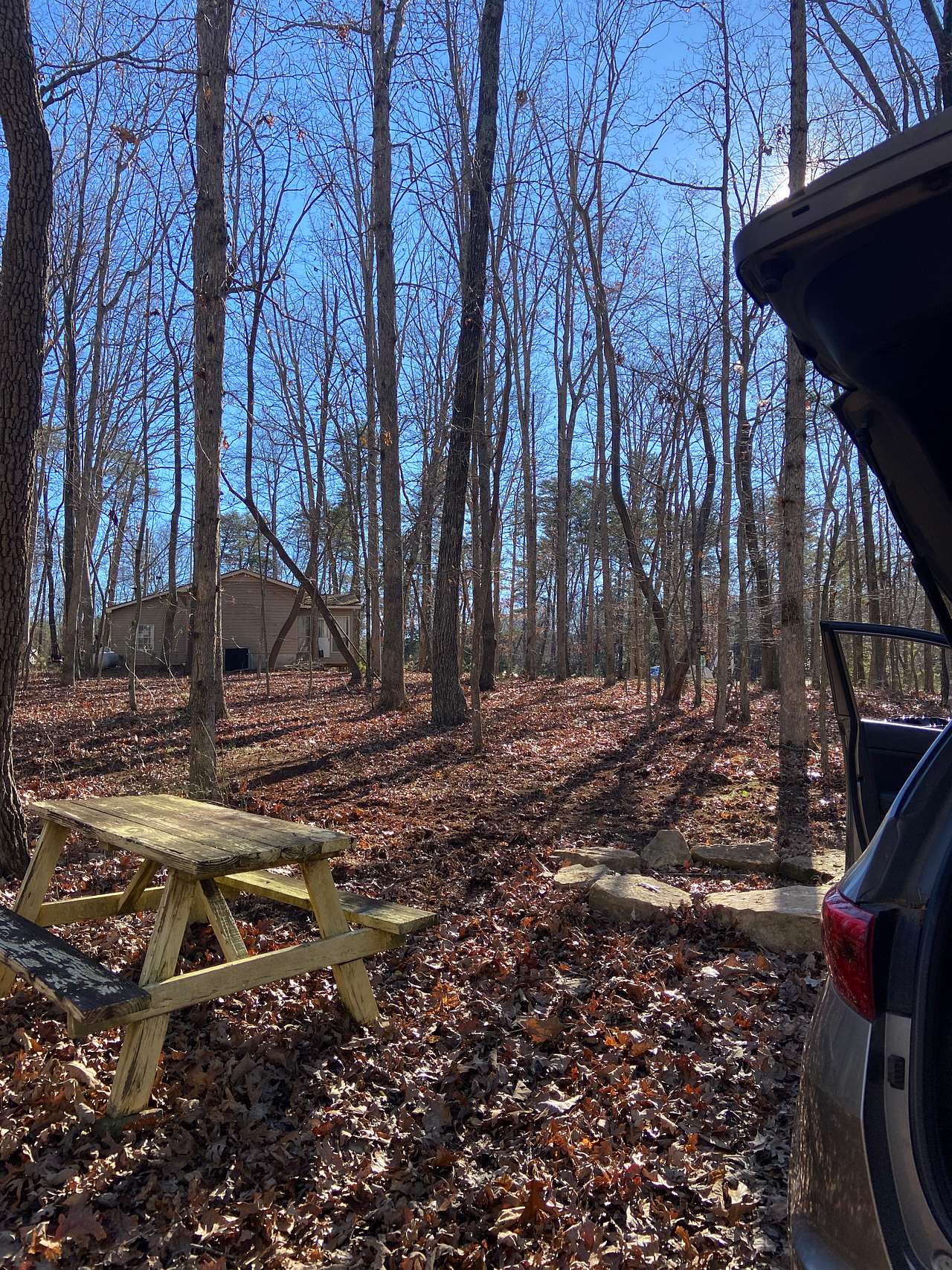 Picture of the site