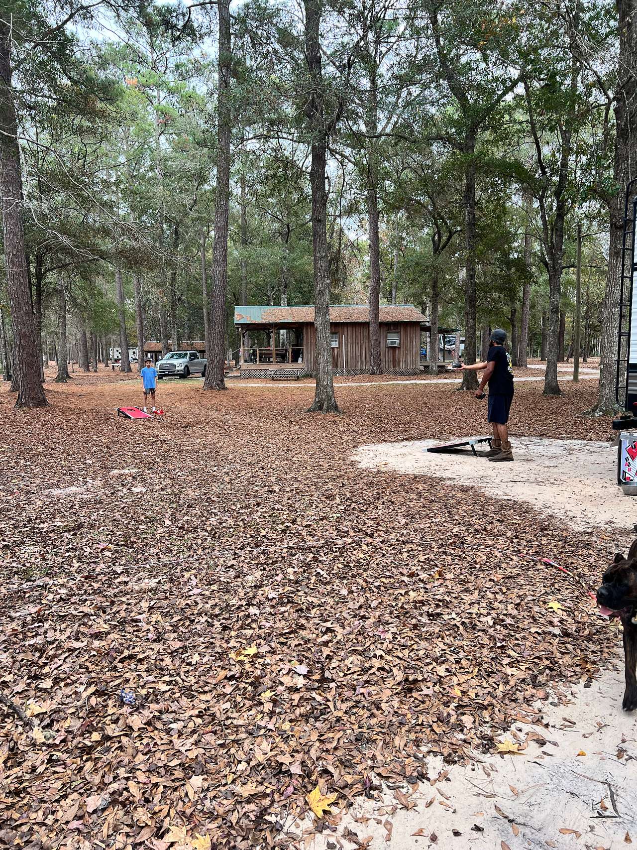 Picture of the site