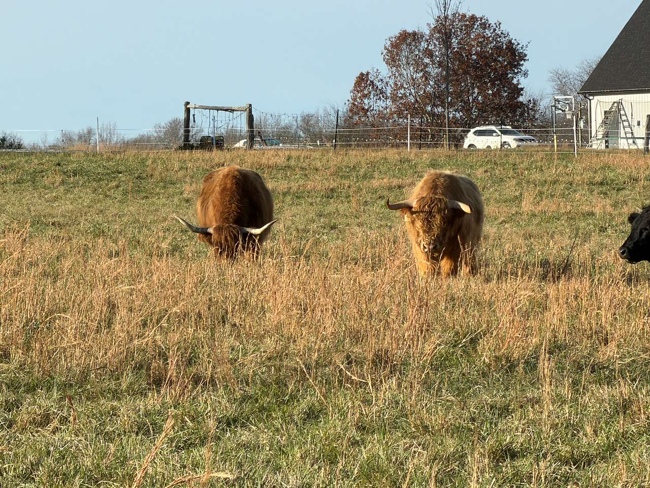 St. Isidore Farm