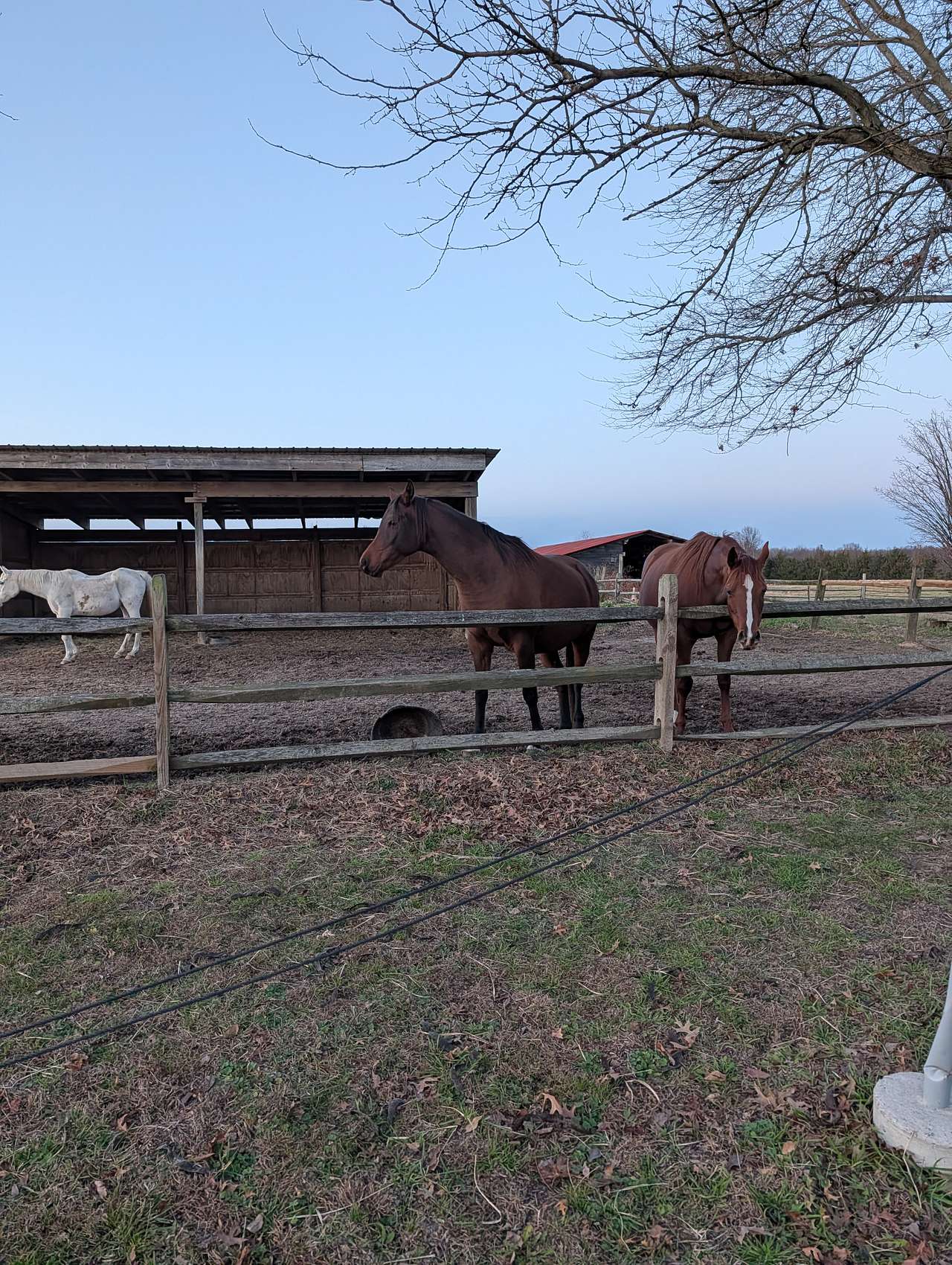 Countryside Horse Farm
