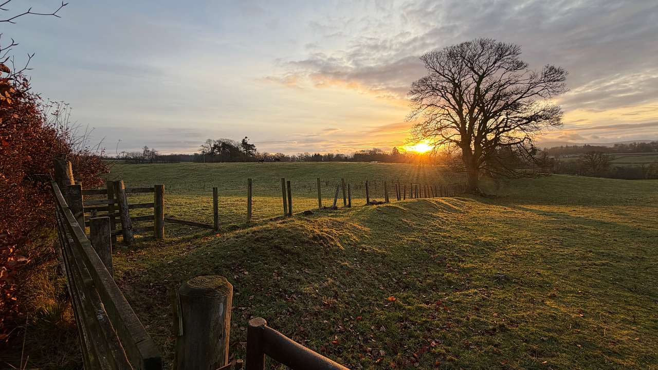 Stunning mornings on the farm.