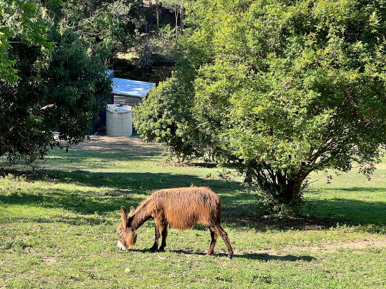 Shanlyn Farm • Breathe & Reconnect