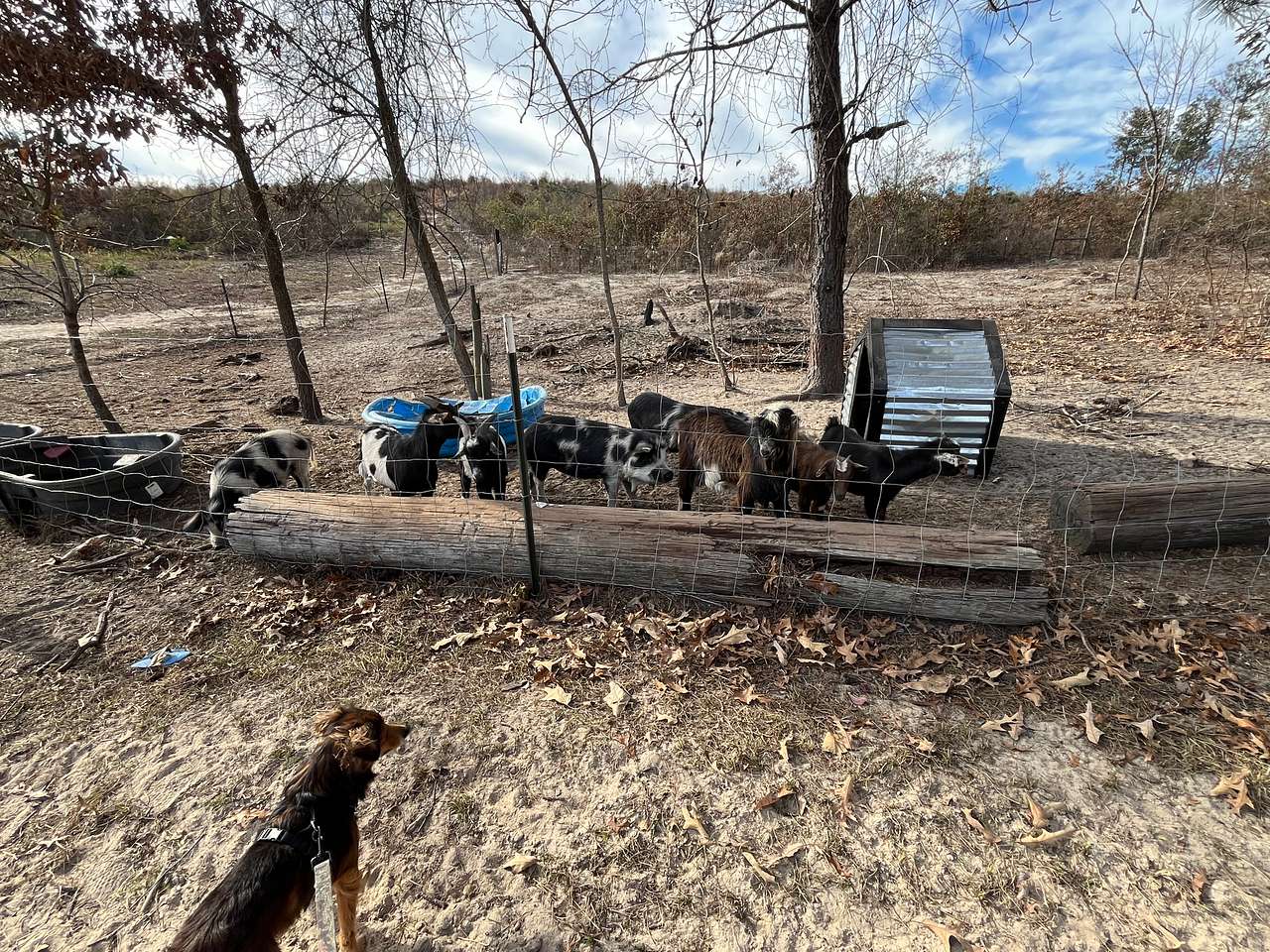Piney Hills Campground