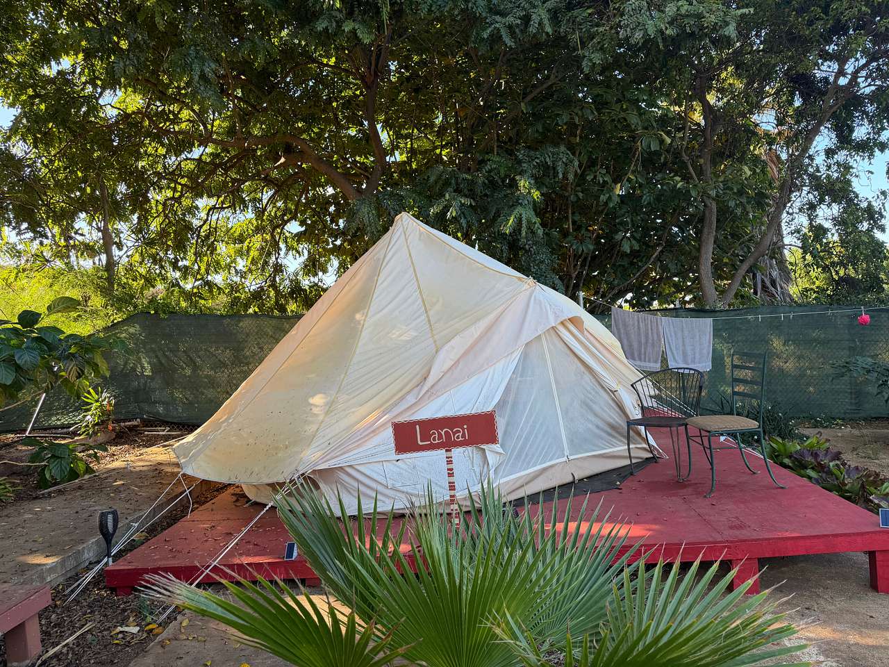 Picture of the site
