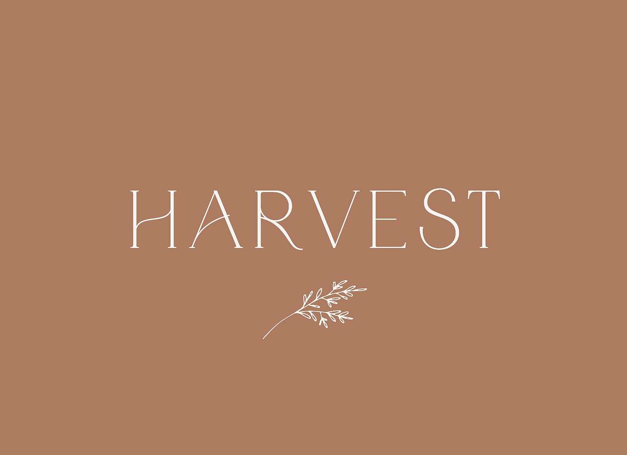 Harvest Log Cabin - Farm Stay