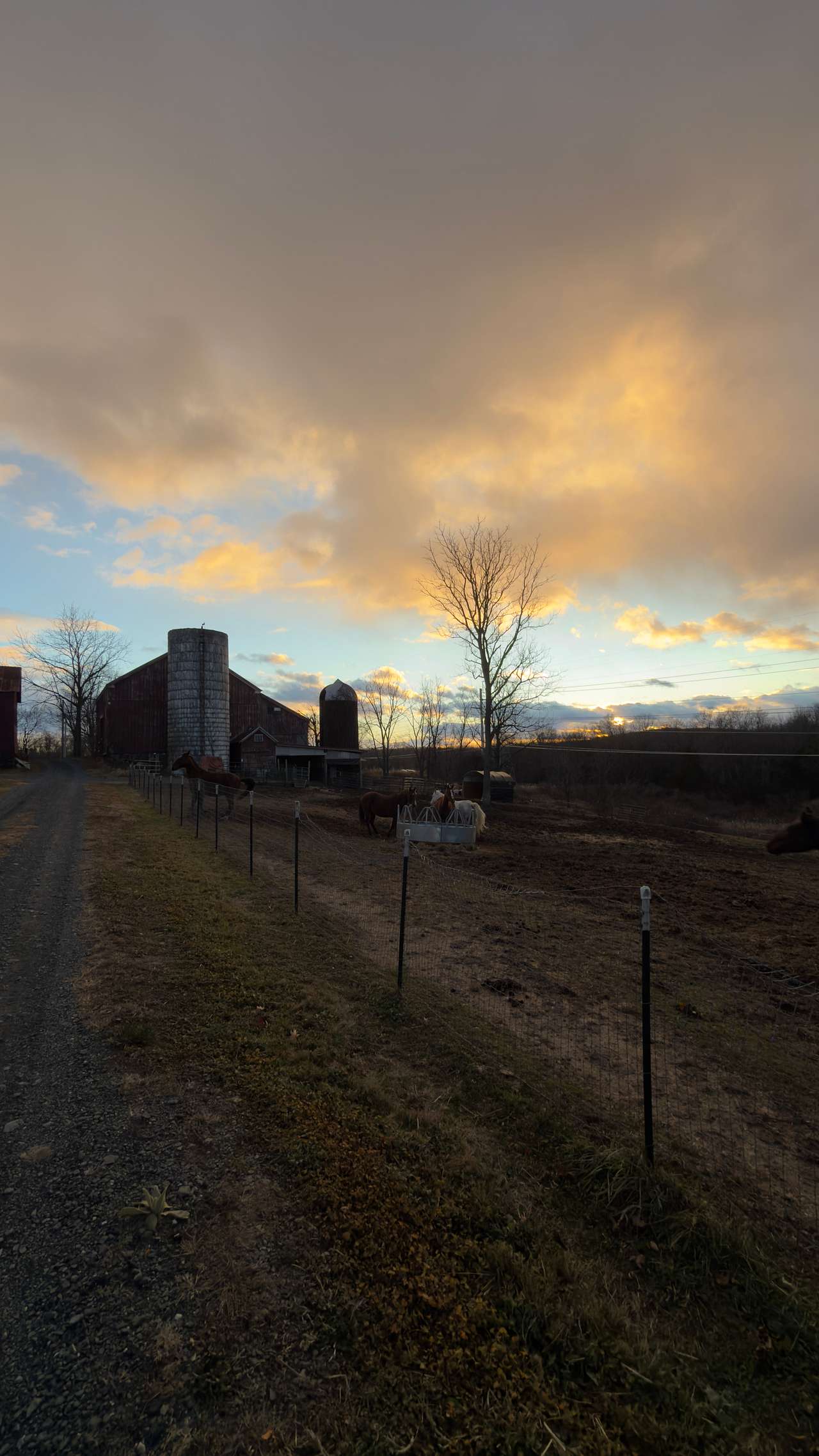 Sunset with barn 