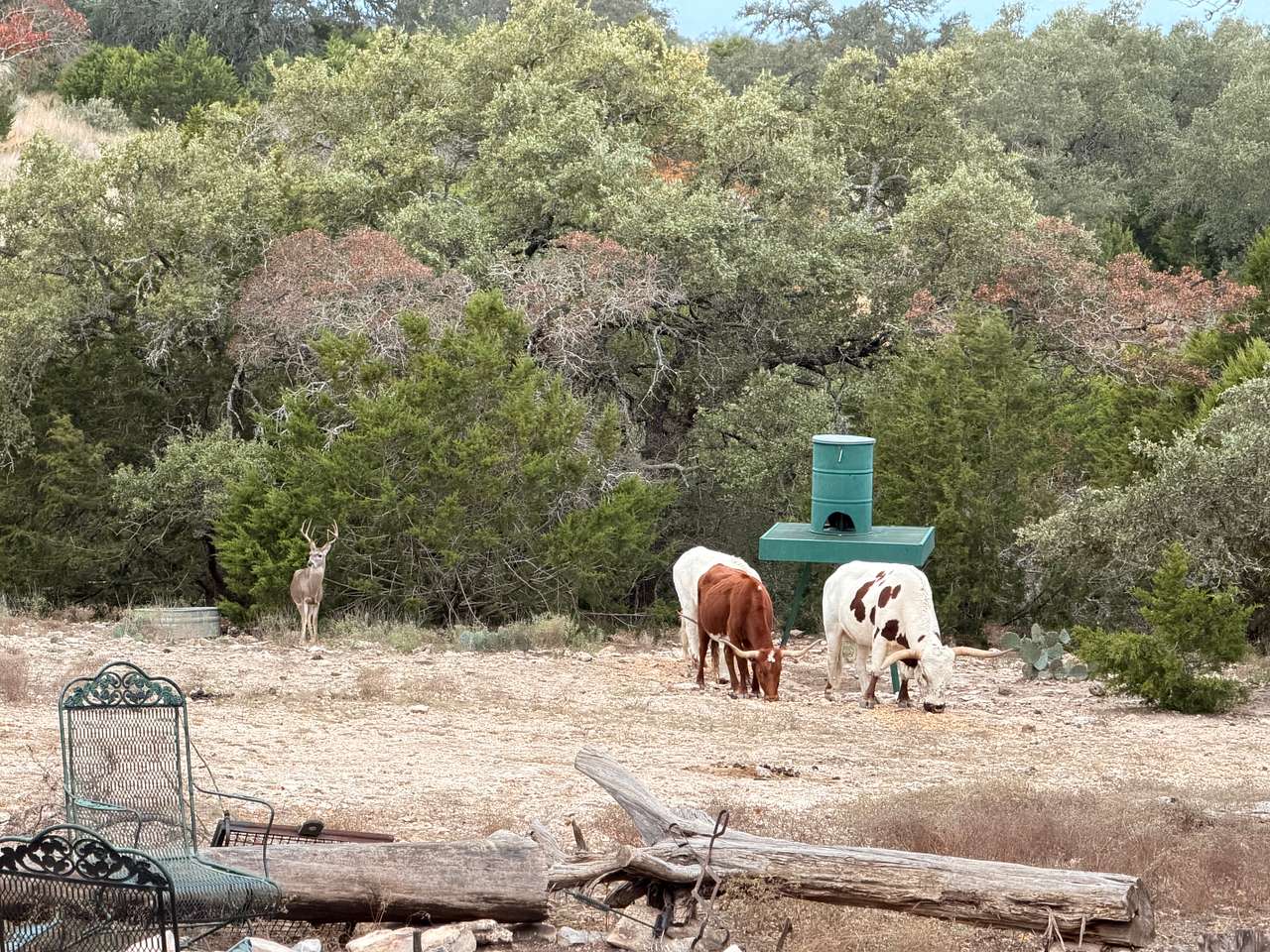 Cabin at the Ranch - Harper, TX