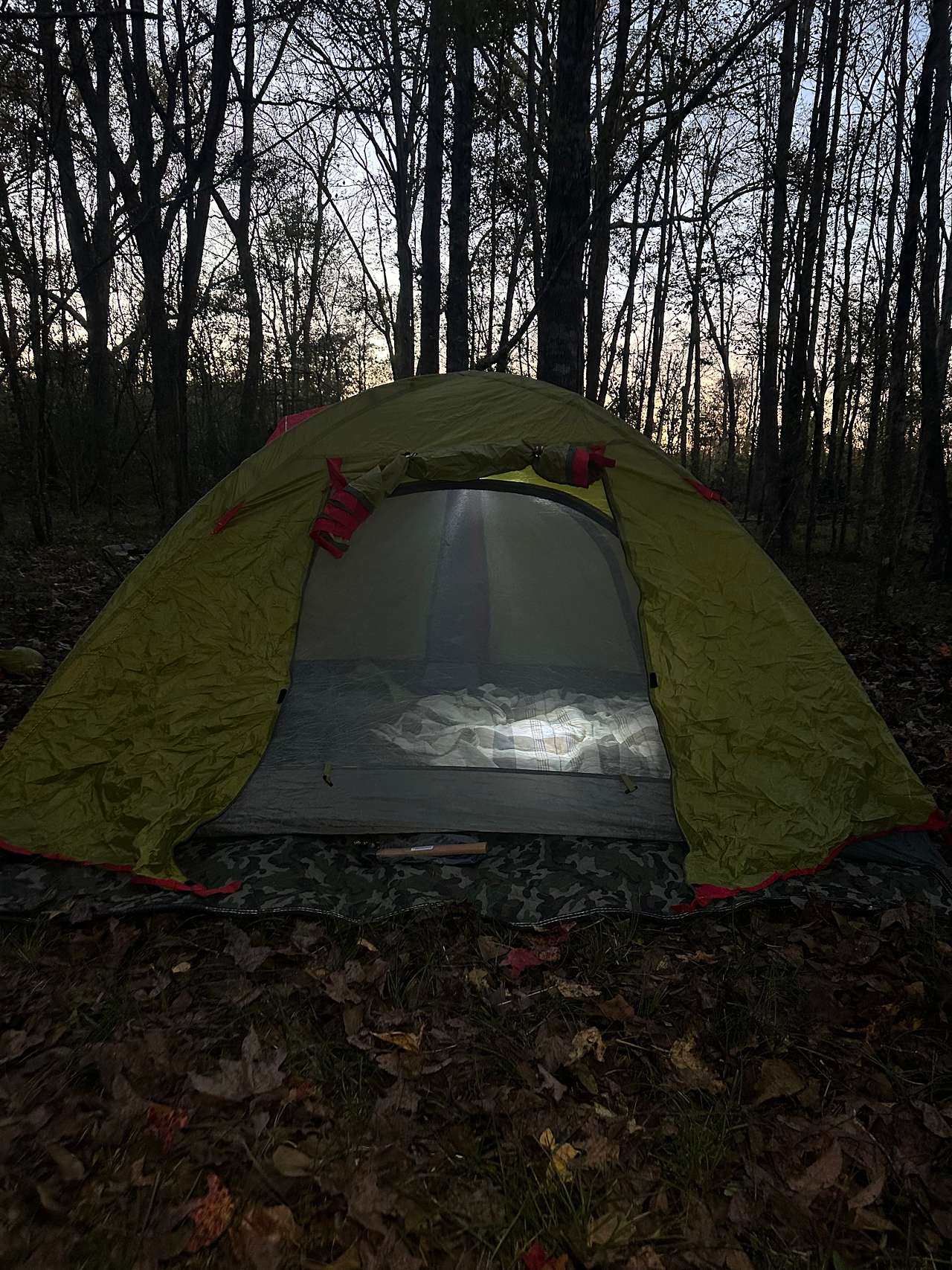 Ligneous Countryside Tent Camping