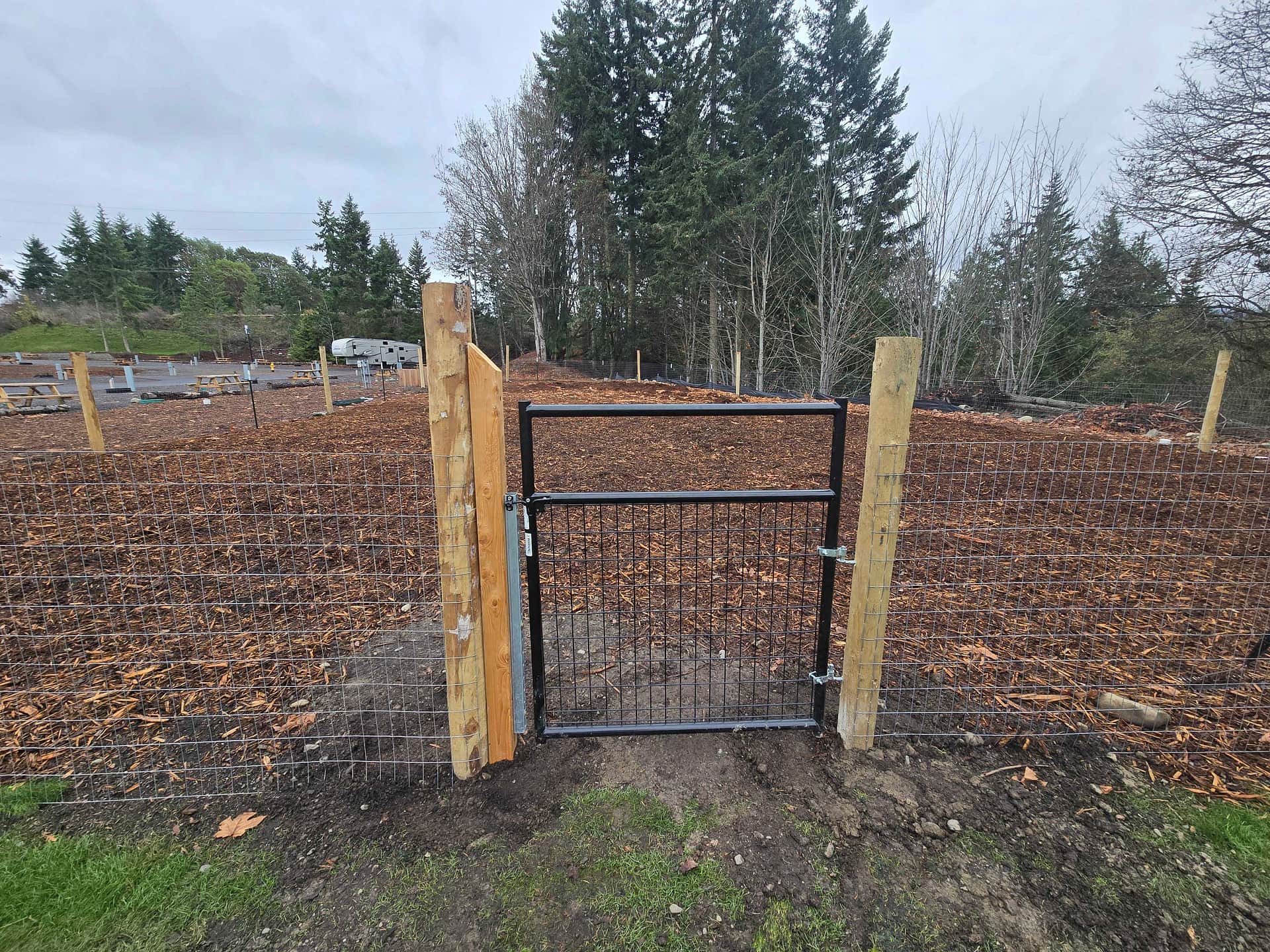 Picture of the site