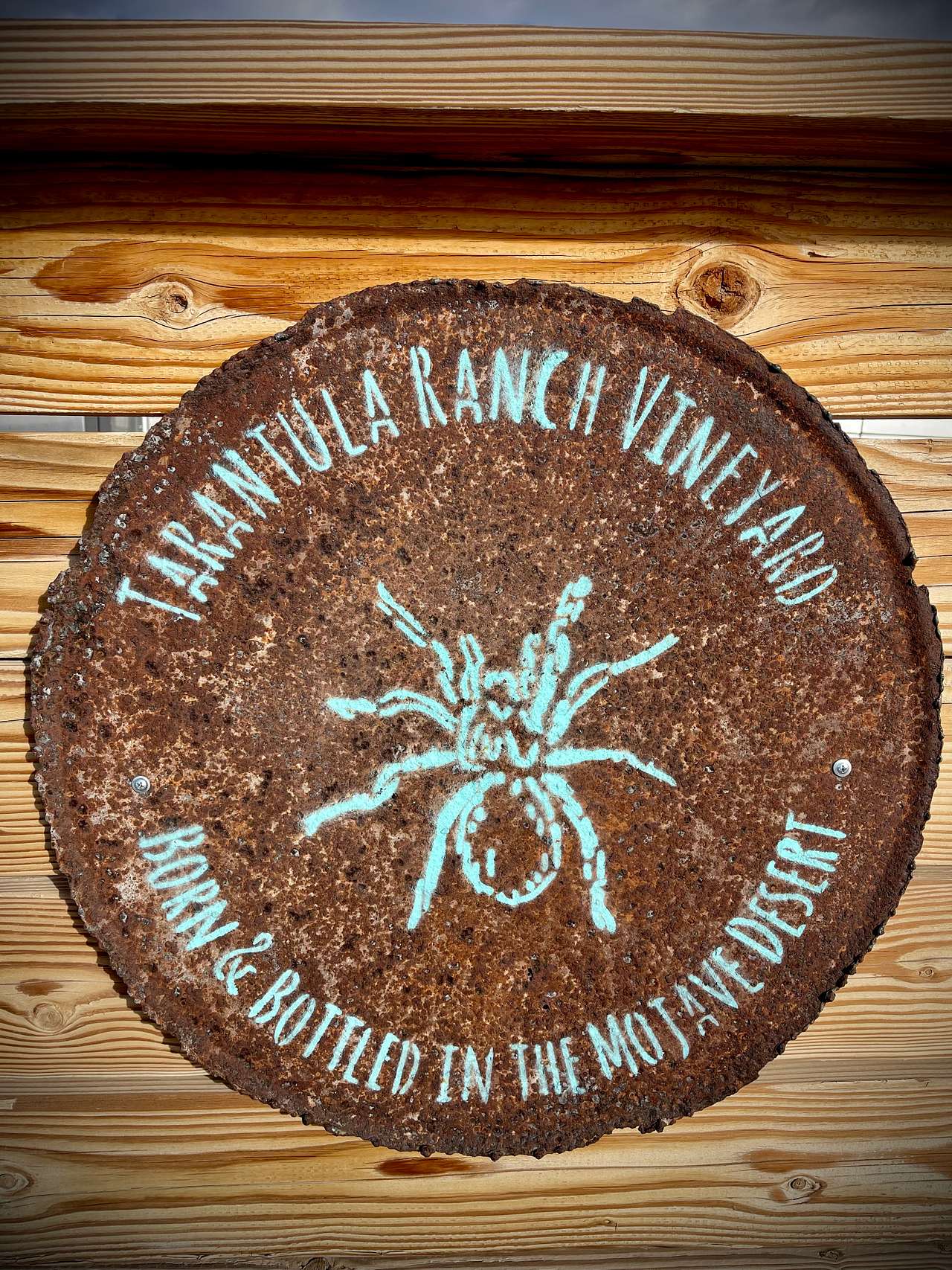 Tarantula Ranch
