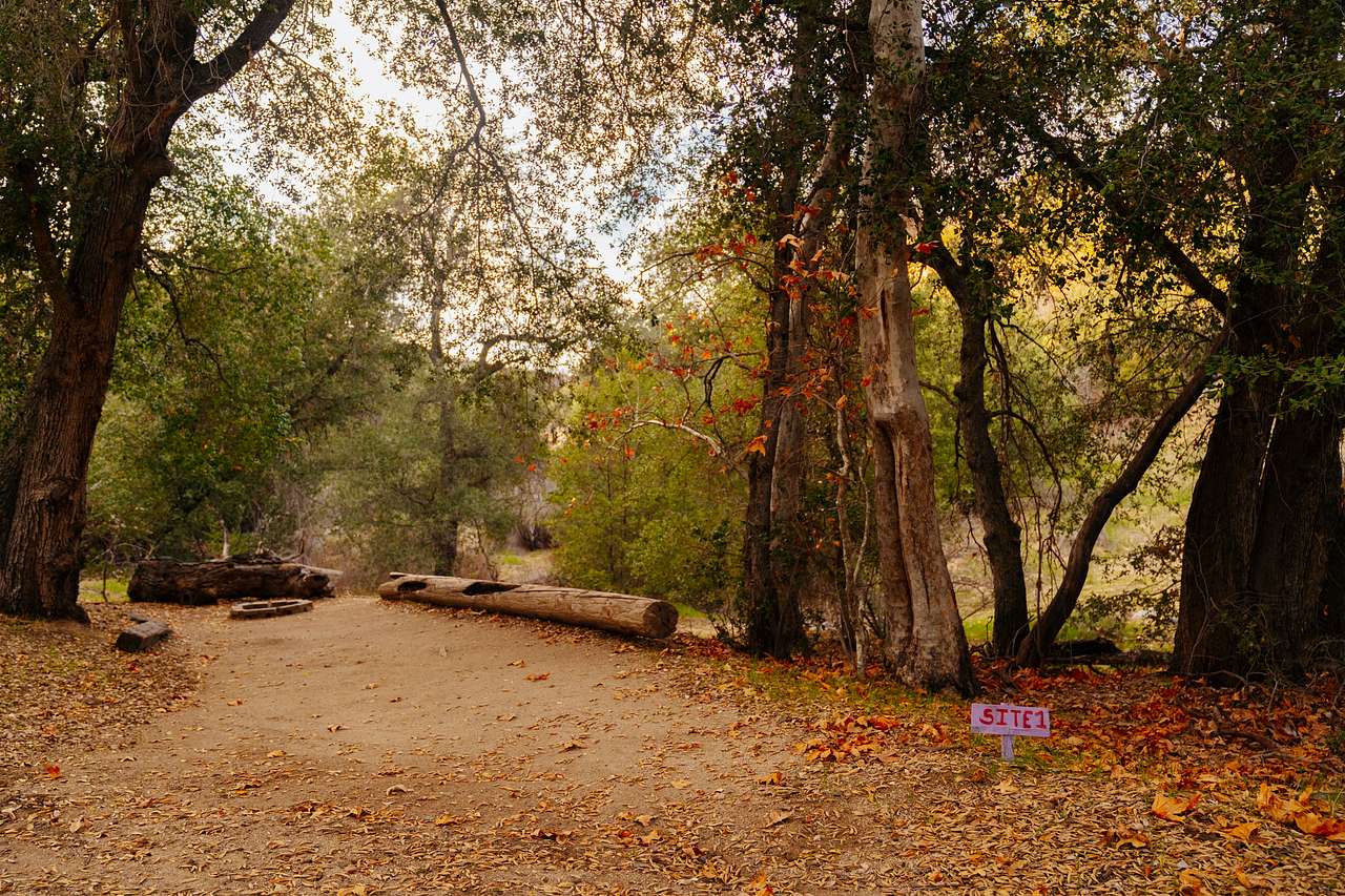 Loomerland Ranch and Retreat