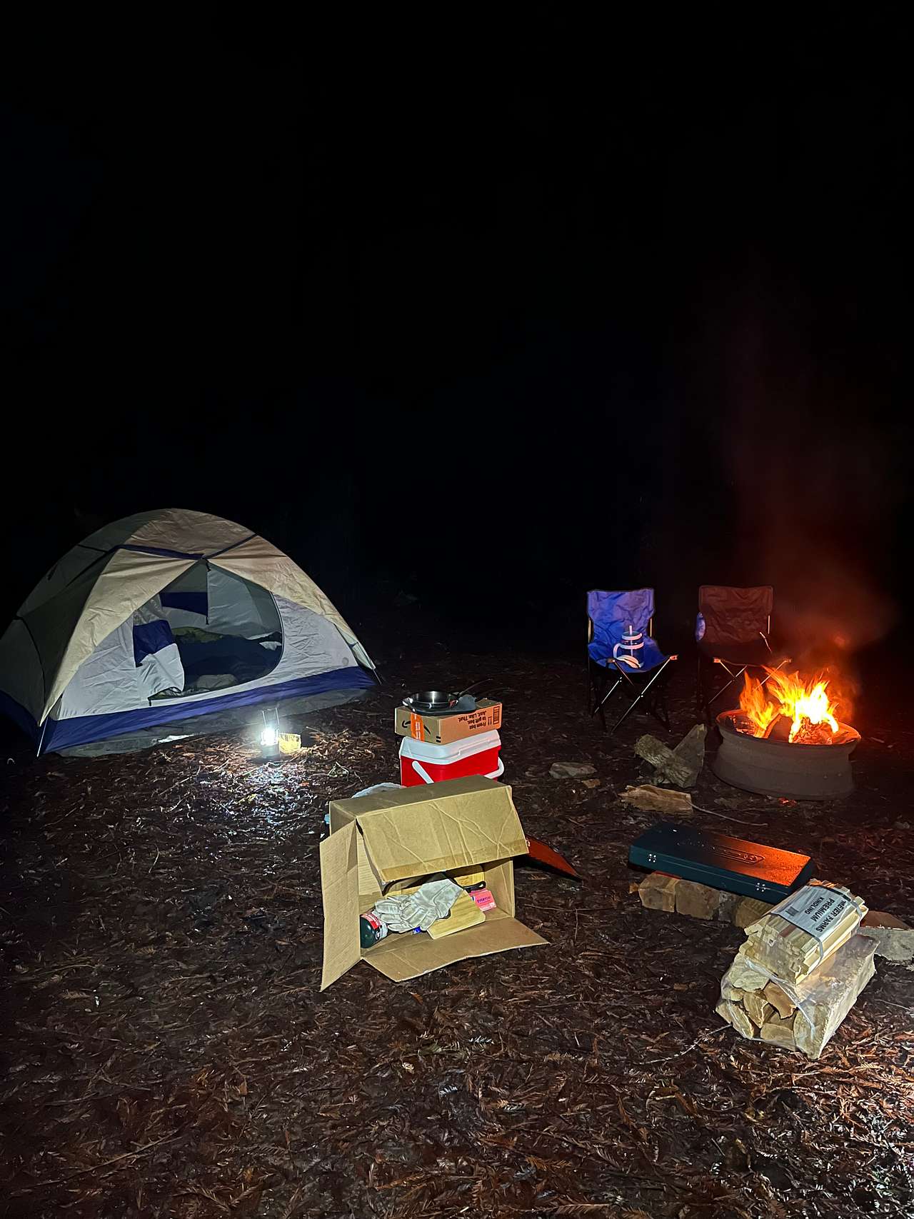 Picture of the site