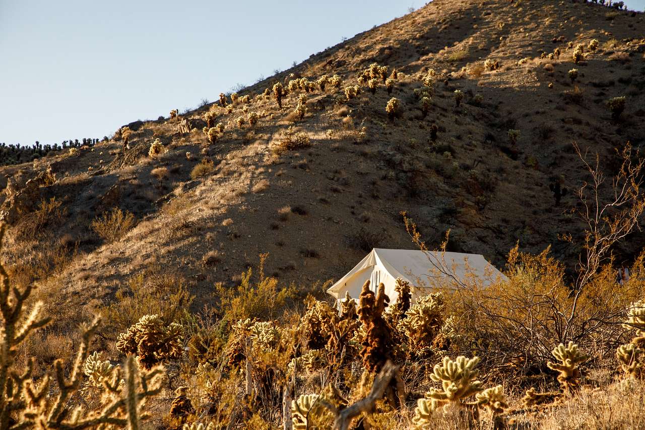Vegas Glamping