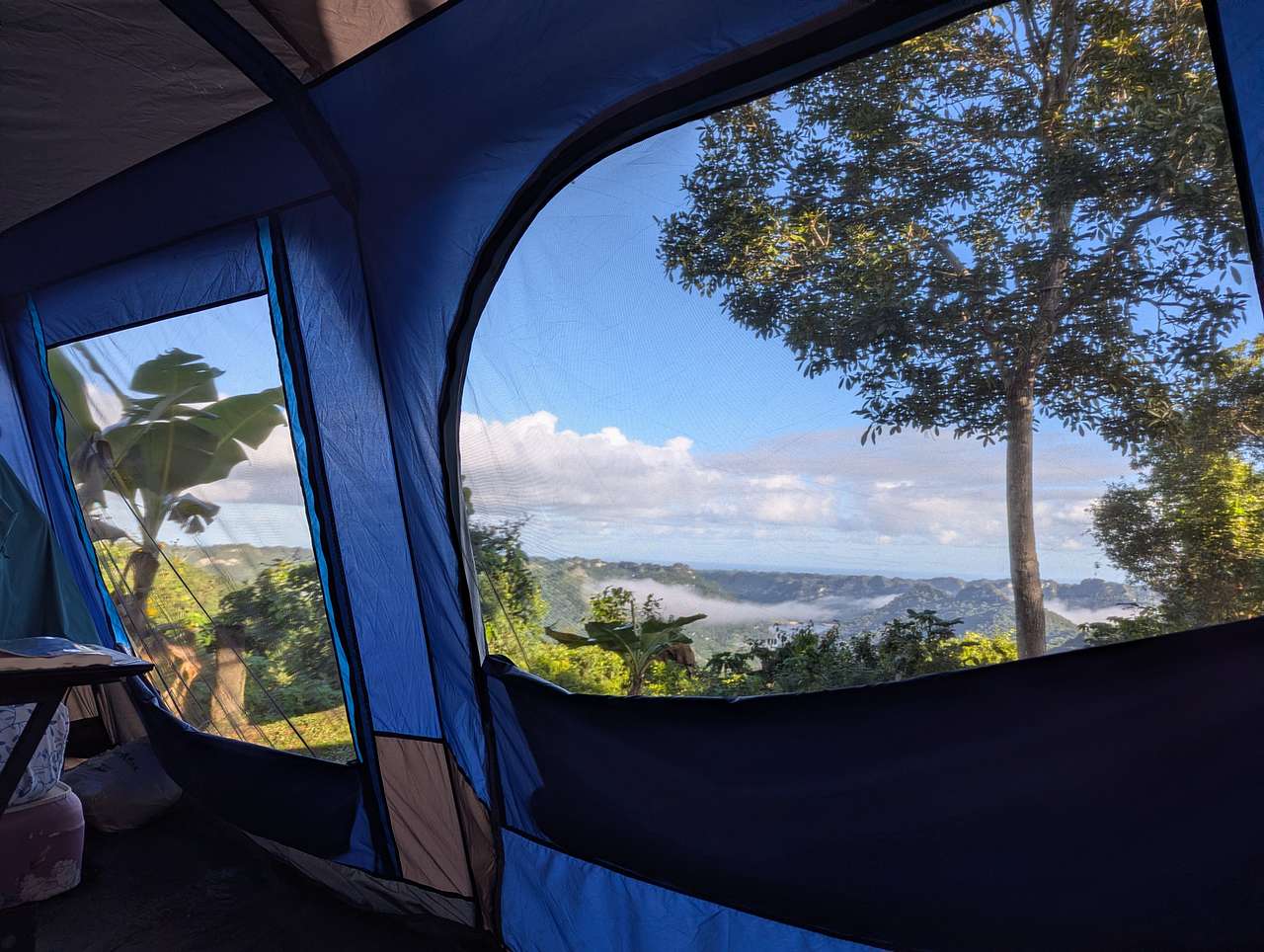 Rainforest Campground & Glamping