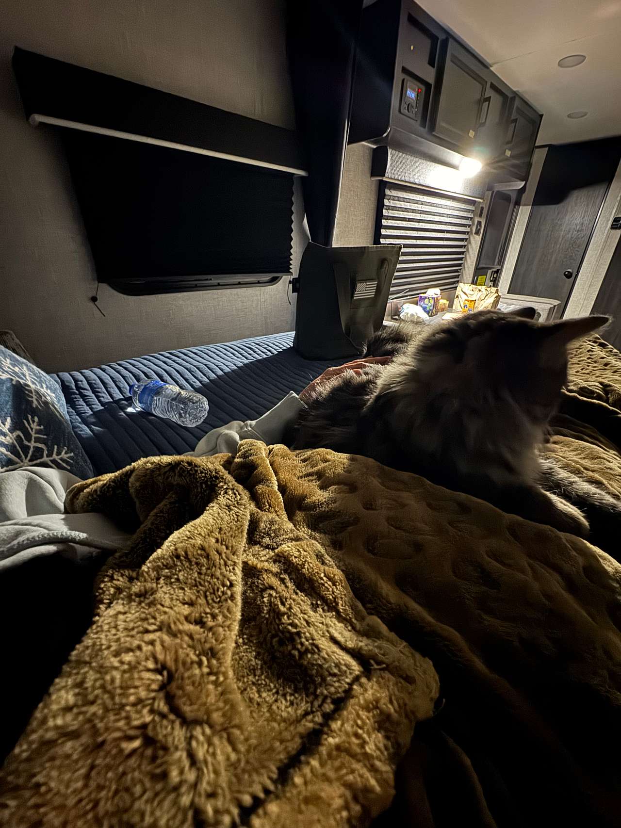 The Happy Camper